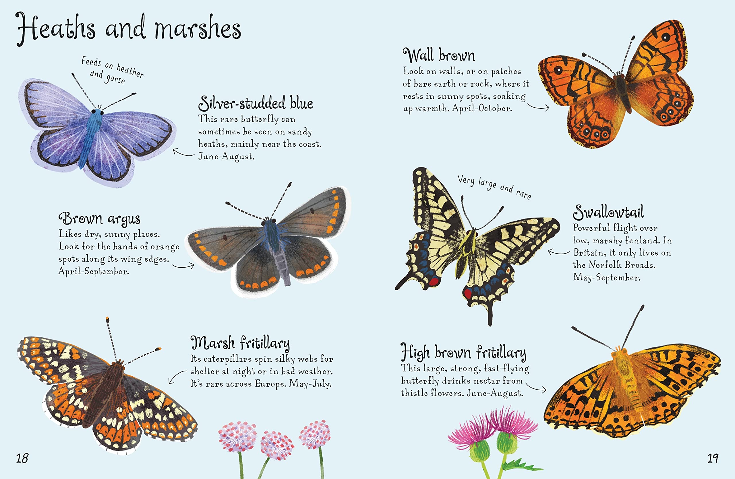 Butterflies to Spot (Usborne Mini Books): 1 (Usborne Minis) - Compact Field Guide for Butterfly Watching, Nature Exploration & Outdoor Activities