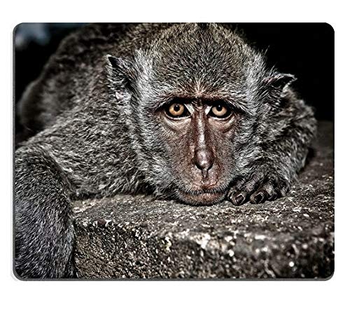 Premium Gaming Mouse Pad - Natural Rubber Non-Slip Mouse Mat with Cute Monkey Design (Stone Texture) | Perfect for PC Gaming, Office Work & Home Computer Setup | M0A02532