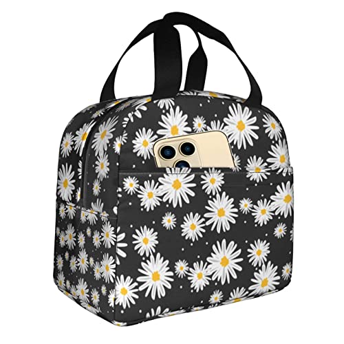 Daisies