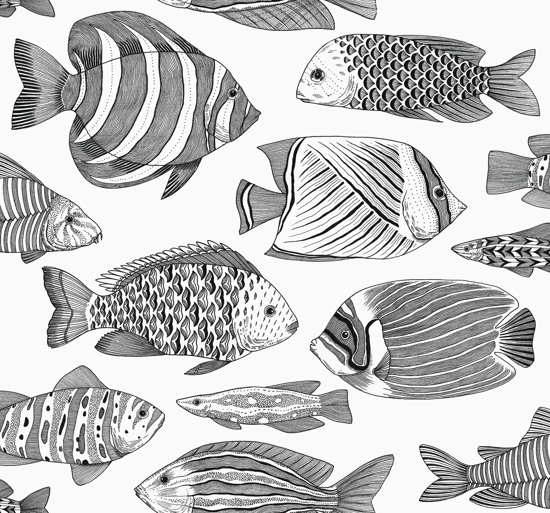 A-Street Prints Wailea Black Tropical School Wallpaper - Removable Peel and Stick Wallpaper for Classroom, Dorm, Kids Room Decor