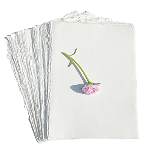 Size-6-( Pack of 50 )