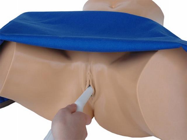 General Pathology Transvaginal Ultrasound Training Model - High-Quality Medical Simulation for OB/GYN Education & Clinical Practice - Perfect for Medical Schools, Hospitals & Diagnostic Labs