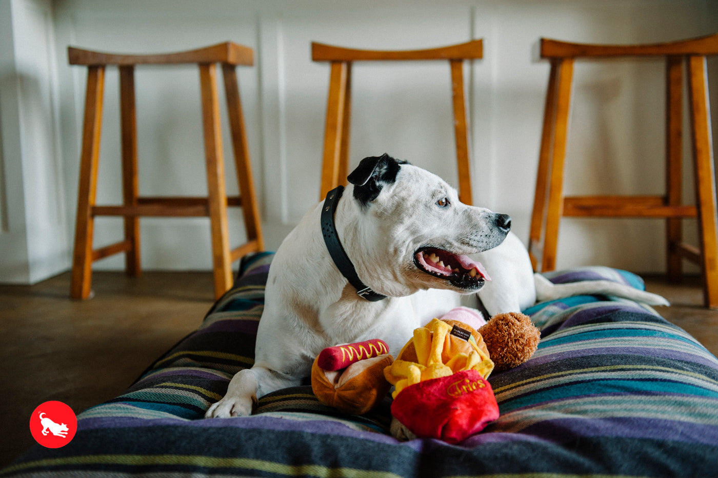 American Classic® Hot Dog Plush Dog Toy by Pet P.L.A.Y. - Durable Chew Toy for Small & Large Dogs - Perfect for Fetch, Tug-of-War & Cuddling