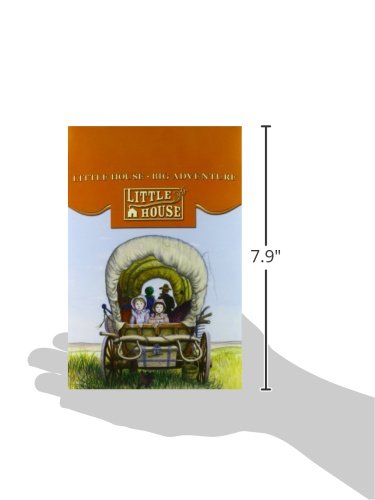The Little House - Cozy Miniature Dollhouse for Kids & Collectors | Perfect for Playtime, Room Decor & Gift Giving