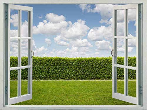 Garden With Hedge and Clouds