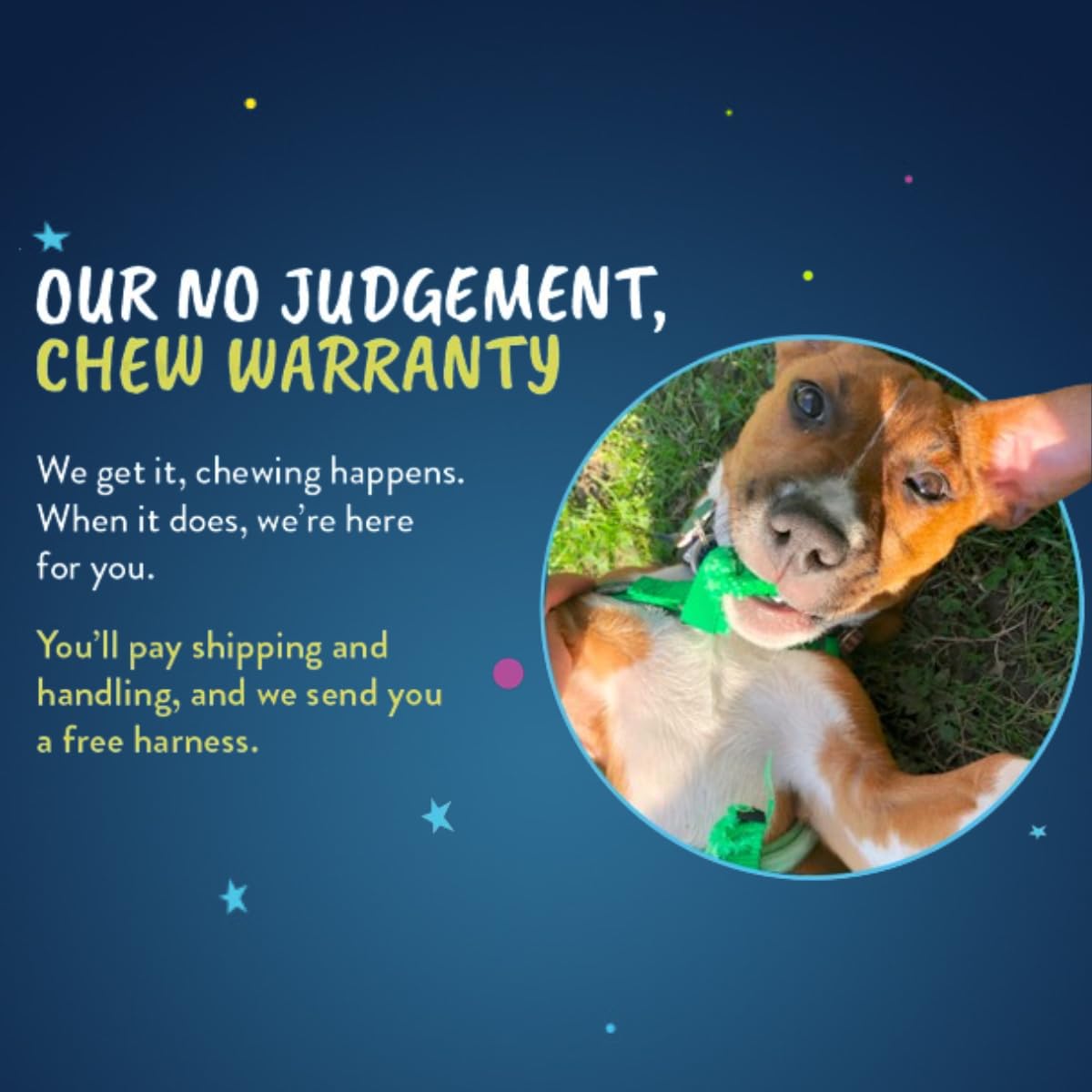 2 Hounds Design Freedom No Pull Dog Harness - Adjustable Pet Harness and Leash Set for Small, Medium & Large Dogs | Easy Walk Control | Comfortable & Durable | Made in USA | 1