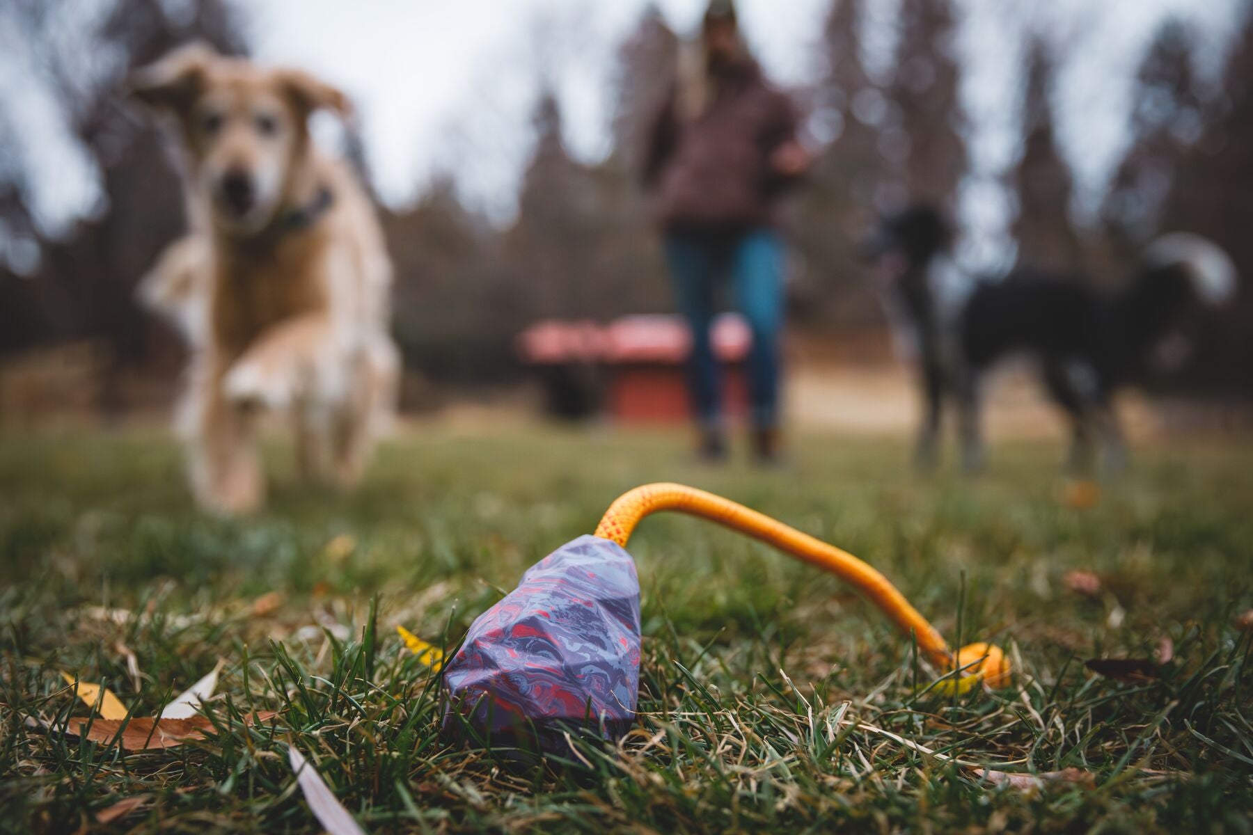 Ruffwear® Huck a Cone® Naranja Salamandra (Salamander Orange) - Durable Fetch, Toss & Bounce Dog Toy for Outdoor Play, Training and Water Fun | Interactive Play for Dogs at Parks, Beaches & Backyards