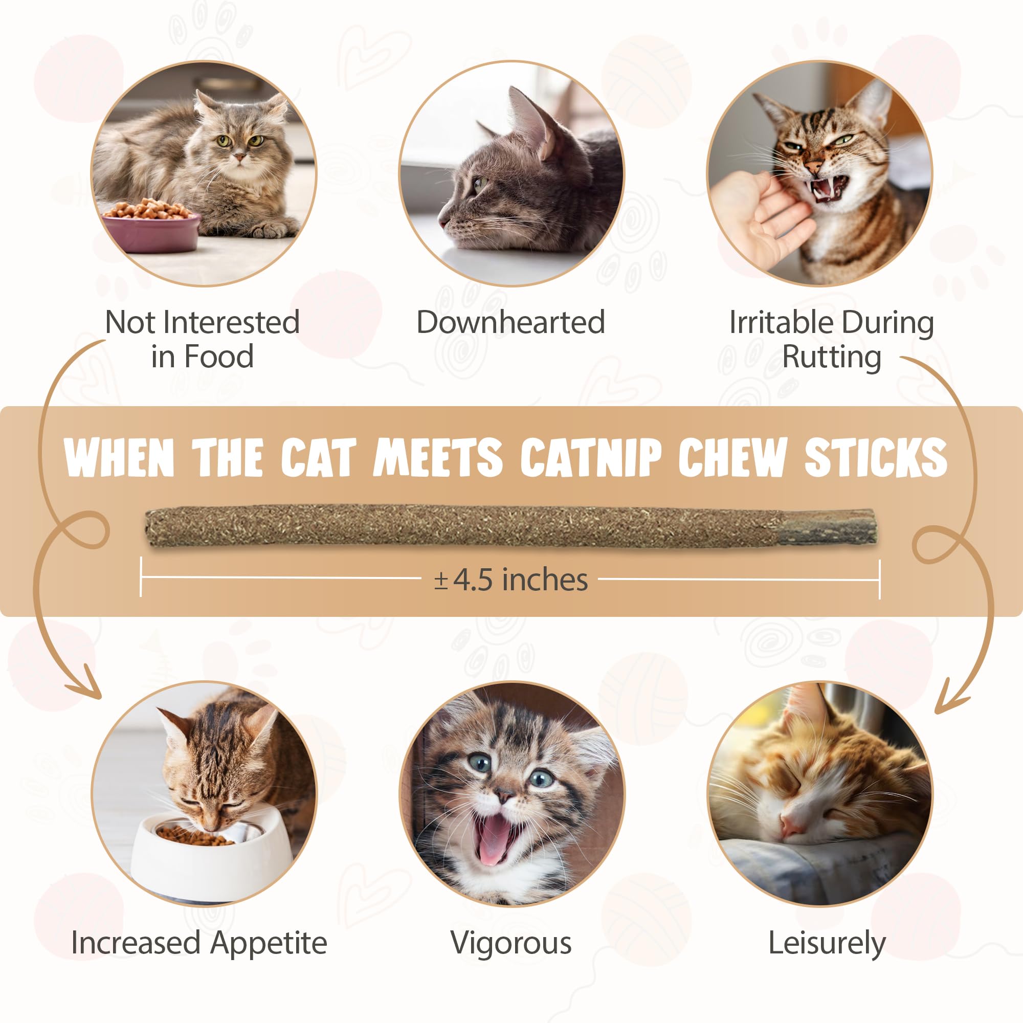 Natural Catnip Chew Sticks for Kittens & Adult Cats - Teething Toys, Anxiety Relief & Dental Health | Indoor Cat Chew Toys for All Breeds & Ages | 6 Pack for Playtime & Stress Relief
