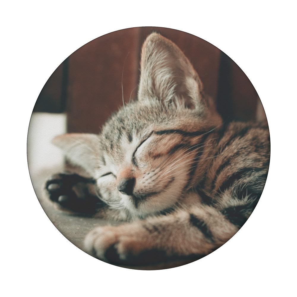 Adorable Sleeping Tabby Cat PopSockets PopGrip - Swappable Phone Grip & Stand for iPhone, Samsung & Smartphones - Perfect for Work, Travel & Daily Use
