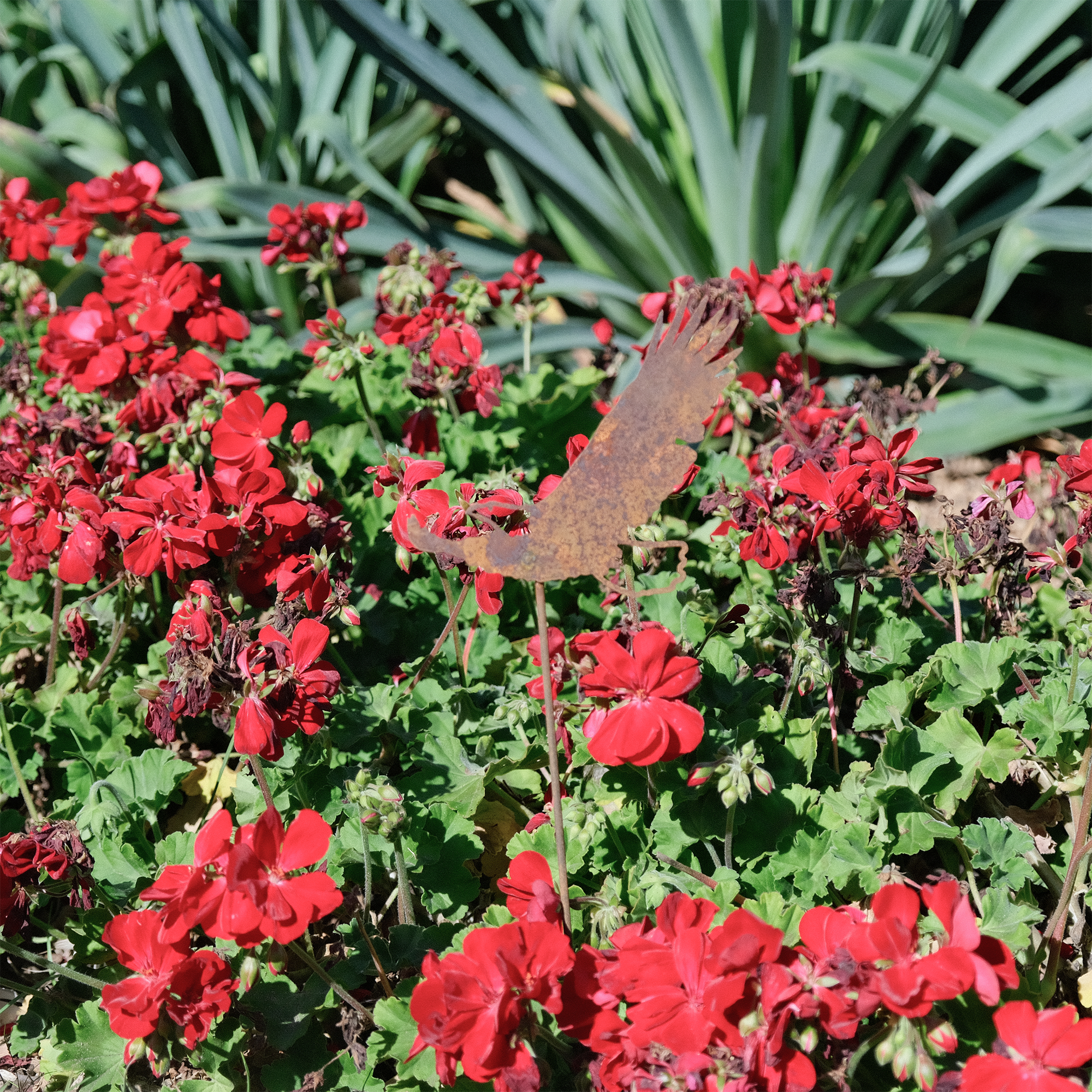 W4161 Eagle Pick Rusted Garden Stakes - Heavy Duty Metal Plant Supports for Outdoor Gardens, Flower Beds, and Vineyards