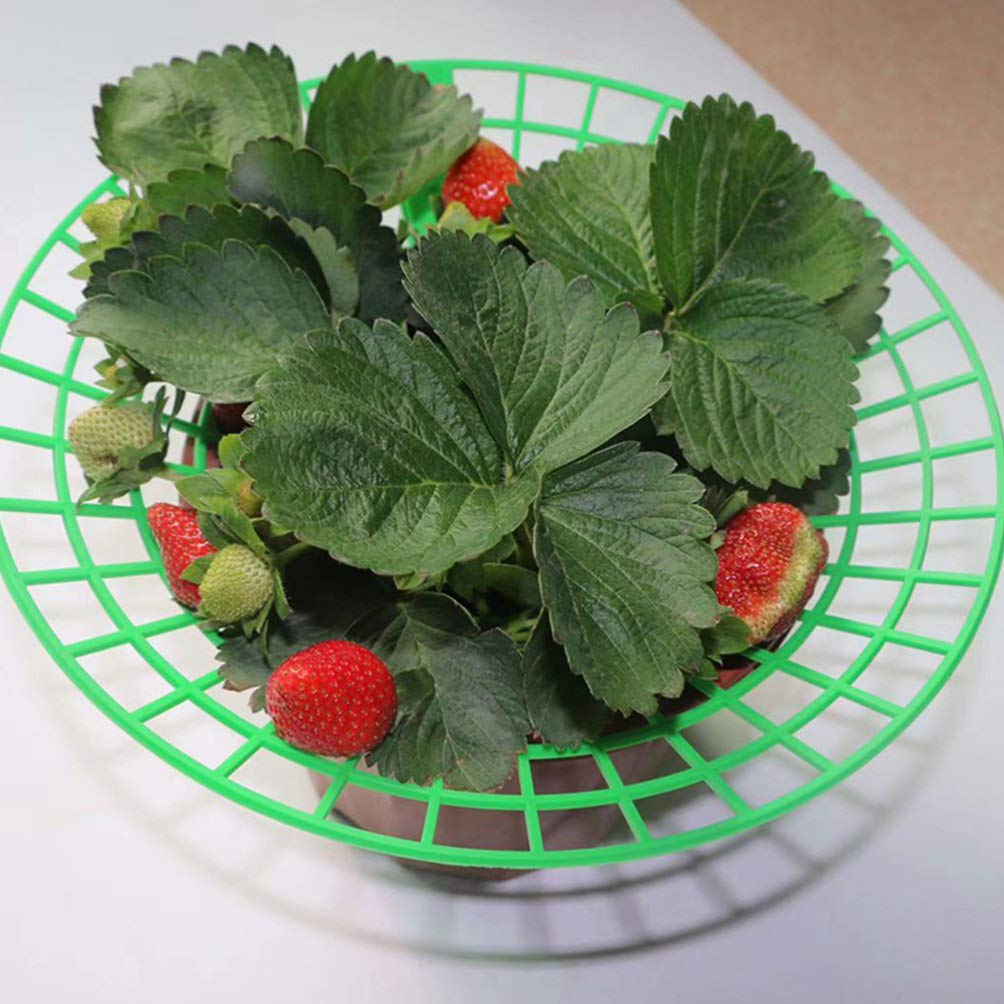 Happyyami 2-Pack Garden Strawberry Plant Supports - Sturdy Climbing Rack for Outdoor Strawberry Plants, Gardening Supplies for Vertical Growth | Perfect for Backyard Gardens, Patio Planters & Raised Beds