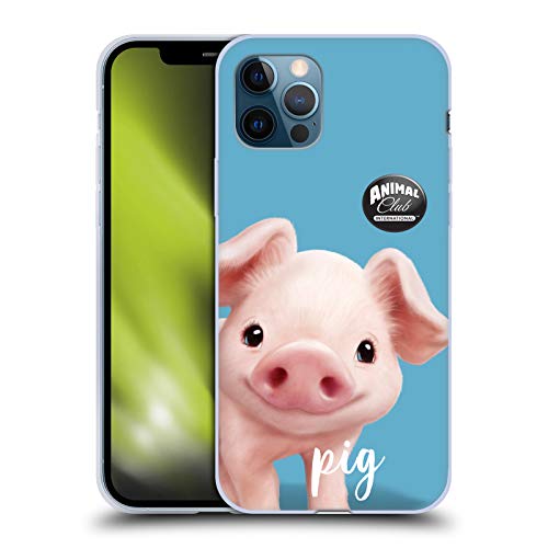 Pig