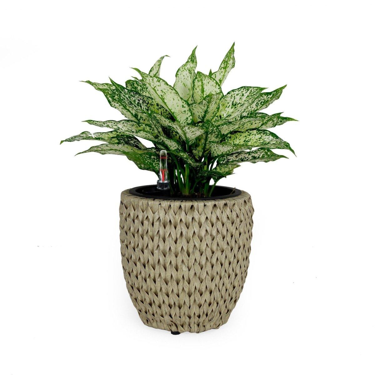 Self-Watering Wicker Planter - Round Decorative Garden Pot for Indoor & Outdoor Plants | Perfect for Patio, Balcony, and Home Decor