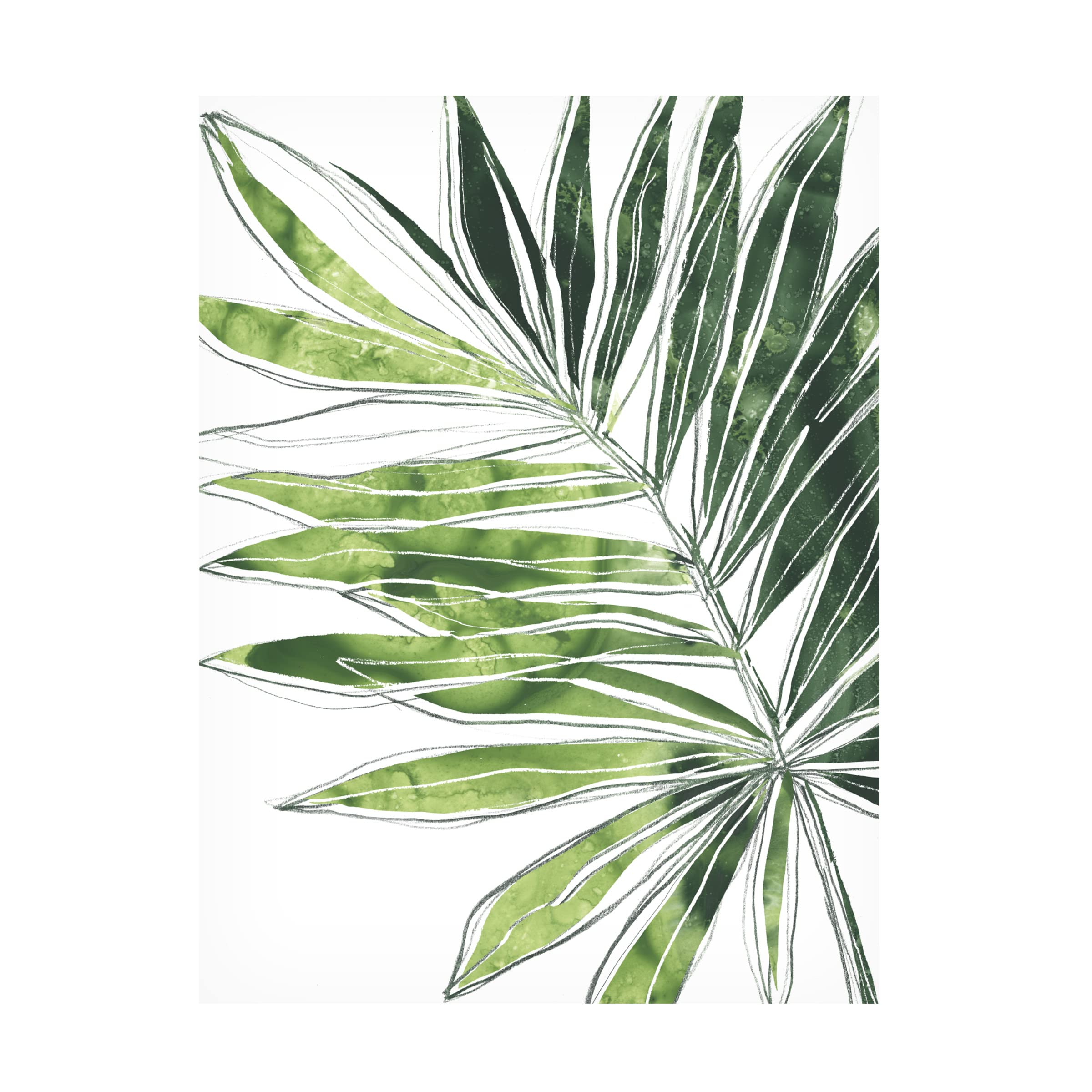Expressive Palm IV Canvas Art Print by June Erica Vess - Tropical Beach Wall Decor for Living Room, Bedroom & Office - Modern Botanical Painting for Home & Office Decor