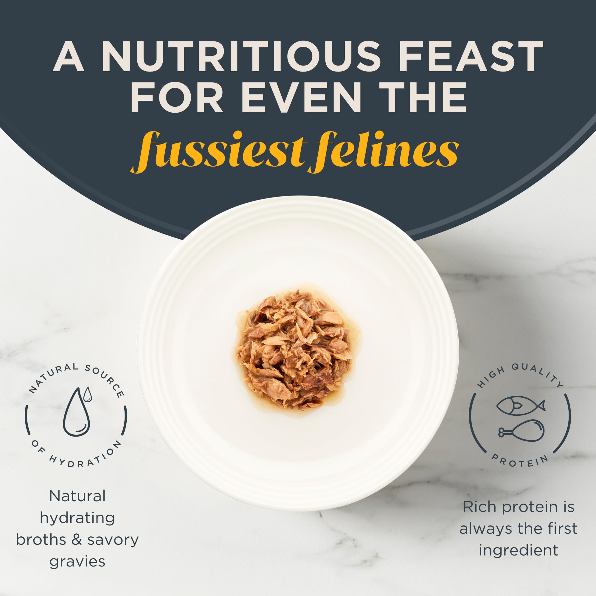 Reveal Grain Free Wet Cat Food - 24 Pack of 2.47oz Cans, Limited Ingredient Natural Cat Food with Ocean Fish in Gravy | Healthy Digestive Support for Adult & Senior Cats | Perfect for Picky Eaters & Sensitive Stomachs