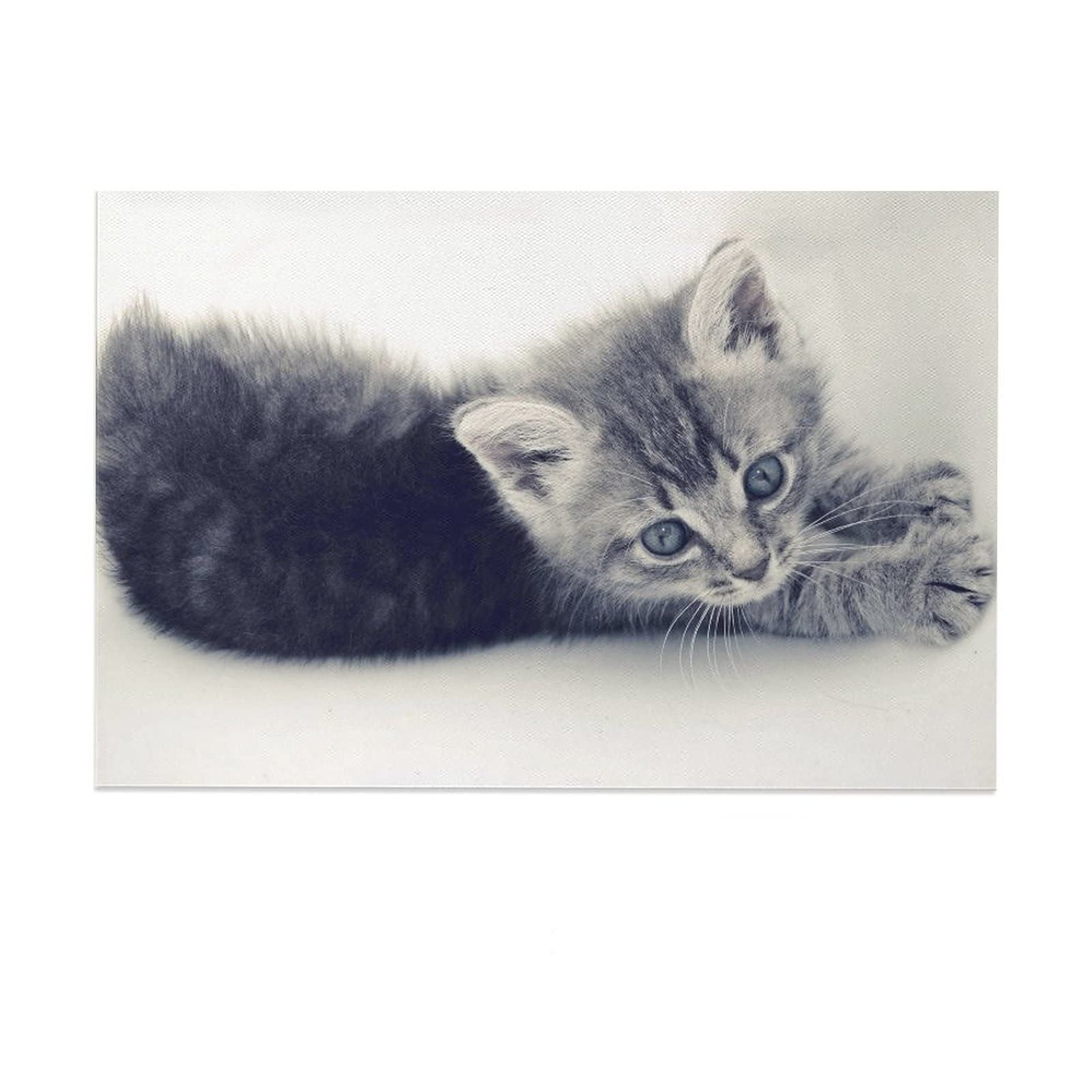 Cute Cats Stretching Canvas Wall Art - 16x24 Inch (40x60cm) Modern Home Decor for Living Room, Bedroom & Office - Perfect Gift for Cat Lovers | Vibrant Sports Landscape Painting for Wall Decoration