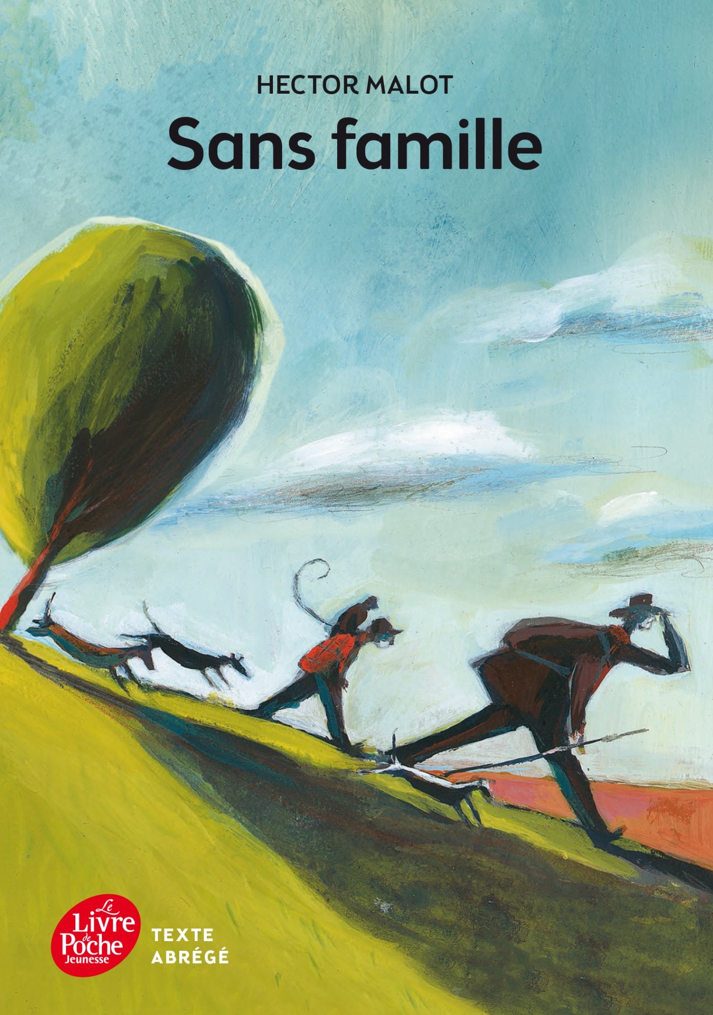 Sans Famille - Abridged Classic French Novel for Teens & Adults | Perfect for Book Clubs, Gifts & Literature Lovers
