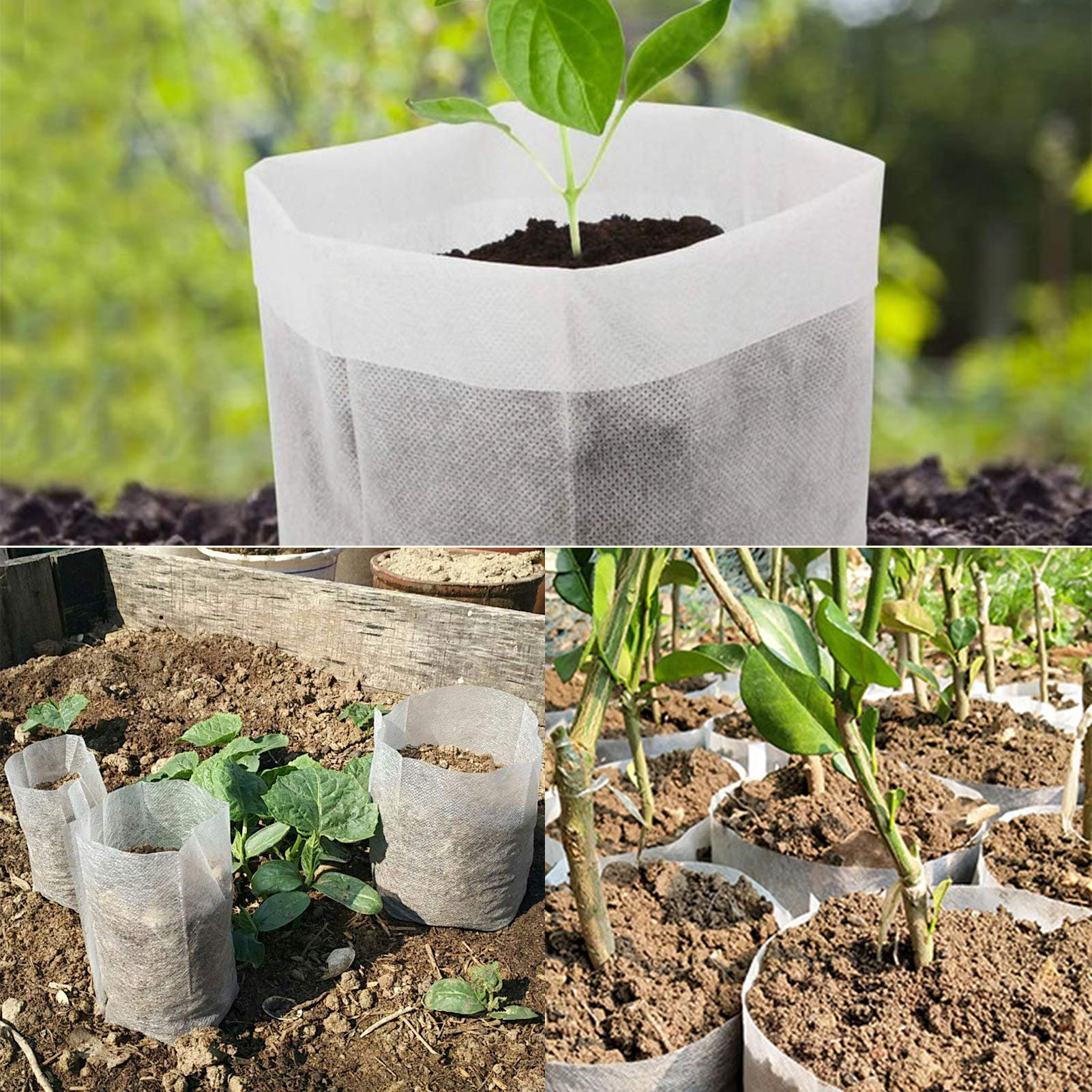 200pcs Biodegradable Plant Grow Bags 7.8
