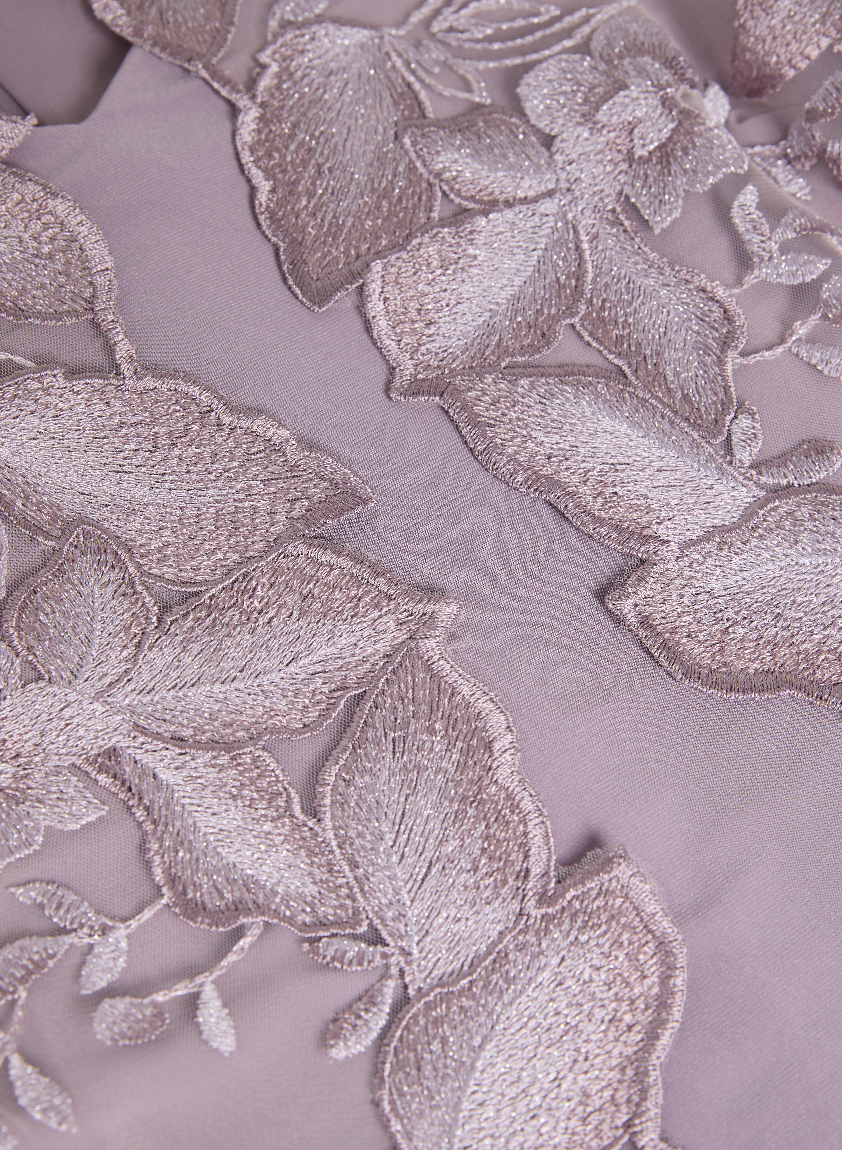 Floral Embroidered Illusion Dress for Women - Elegant Lace Sheer Maxi Dress for Weddings, Parties & Special Occasions