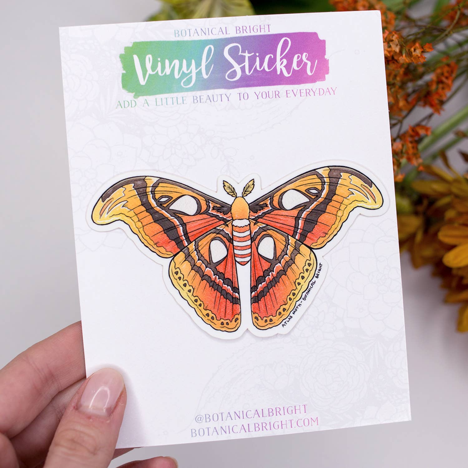 Atlas Moth Waterproof Vinyl Sticker - Decal for Laptops, Water Bottles & DIY Crafts - Unique Insect Art for Nature Lovers