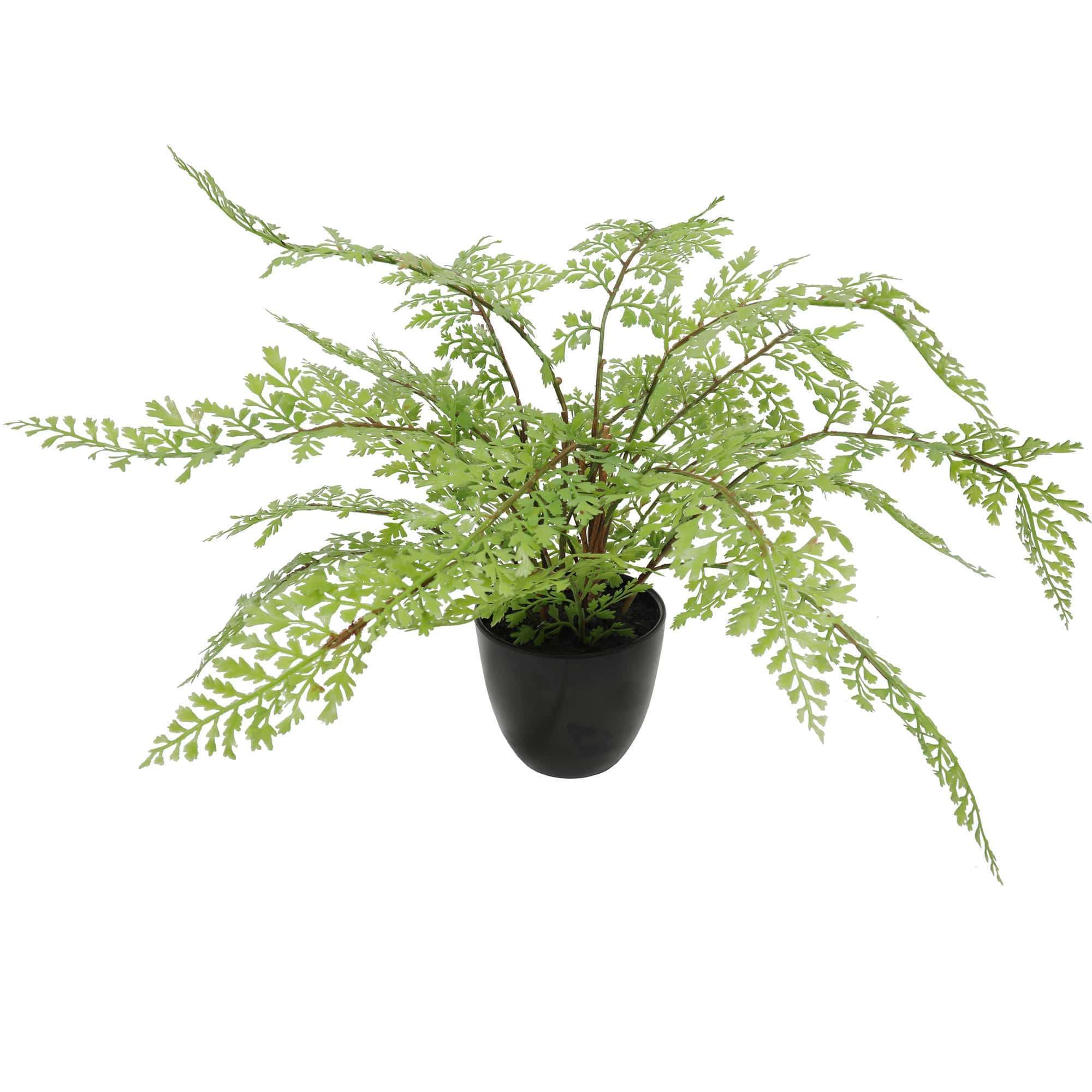 35cm Artificial Small Potted Fern Plant - Realistic Fake Greenery for Home Decor, Office Desk, Living Room & Indoor Spaces