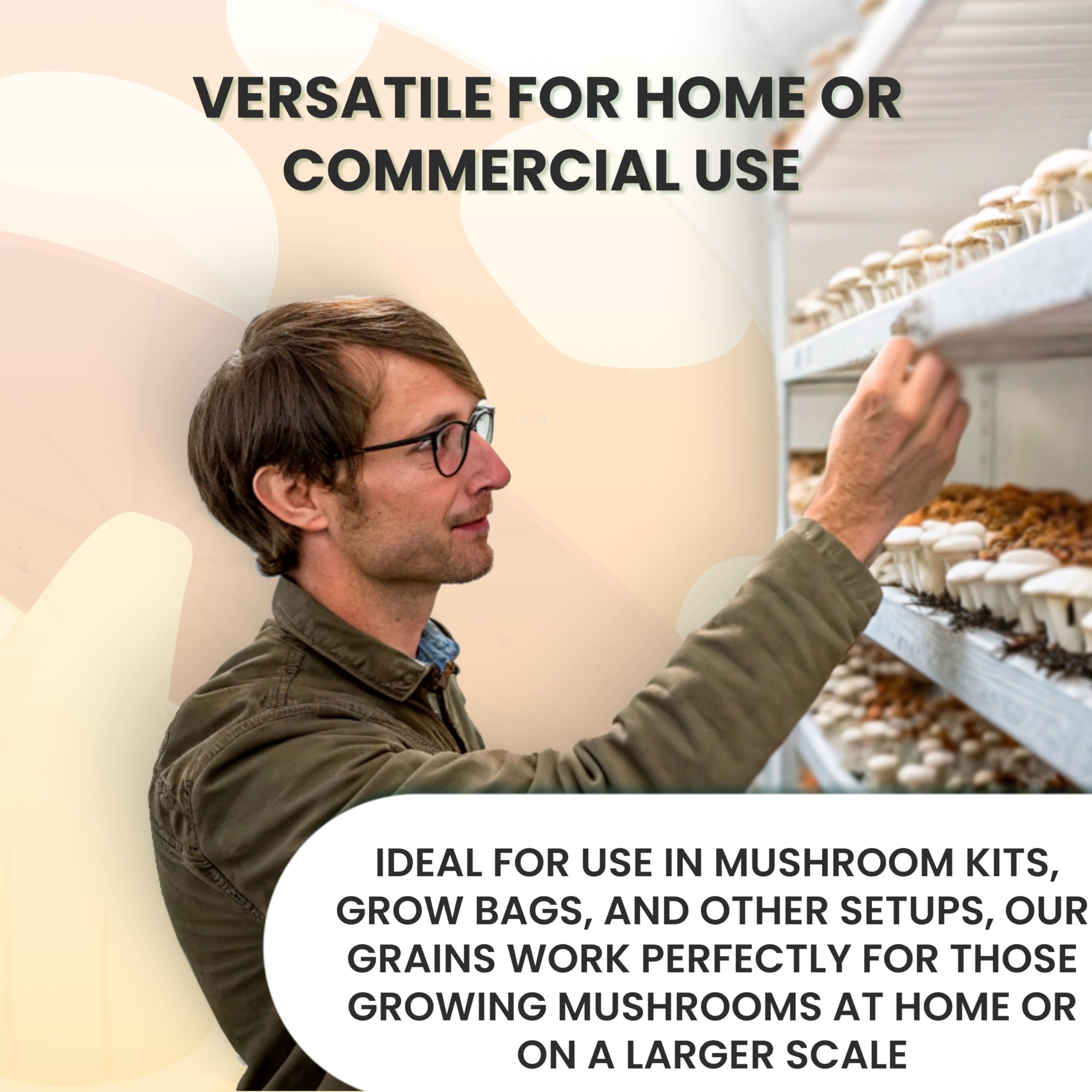 Magic Mushroom Growing Kit - Sterilized Rye Grain Substrate for Home Cultivation | 24 Pack Indoor Grow Bags (1lb Each) | No Spores or Injection Ports Included | Perfect for Beginners & Organic Gardening Enthusiasts