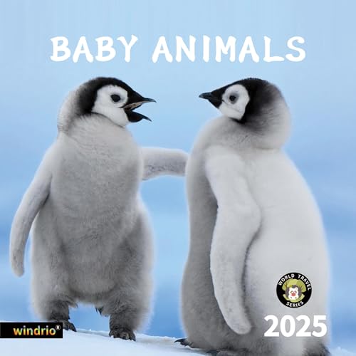 Baby Animals 2