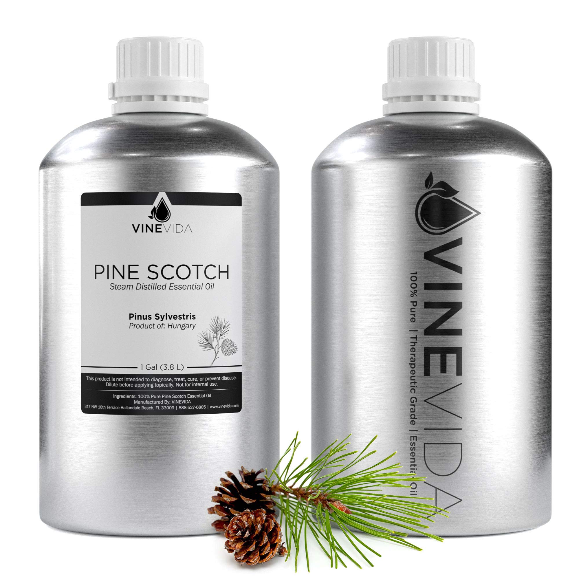 1 Gallon Bulk Pine Scotch Essential Oil - 100% Pure & Undiluted for DIY Soaps, Candles, Aromatherapy - Premium Aluminum Bottle - VINEVIDA (Perfect for Home Spa, Relaxation & Natural Cleaning)
