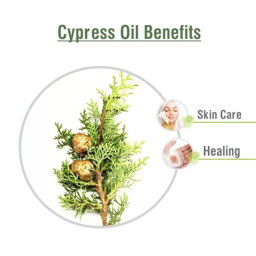 100% Pure Natural Cypress Essential Oil with Dropper - Undiluted, Uncut 100ml for Aromatherapy, Massage & Relaxation