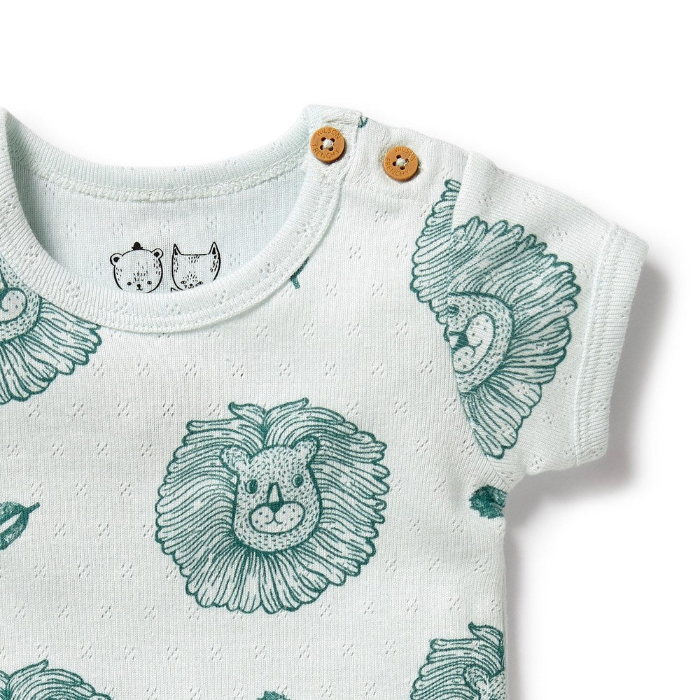 Little Lion Organic Cotton Pointelle Bodysuit for Babies - Soft & Breathable One-Piece Outfit for Newborns & Infants - Perfect for Everyday Wear, Sleepwear & Photo Shoots