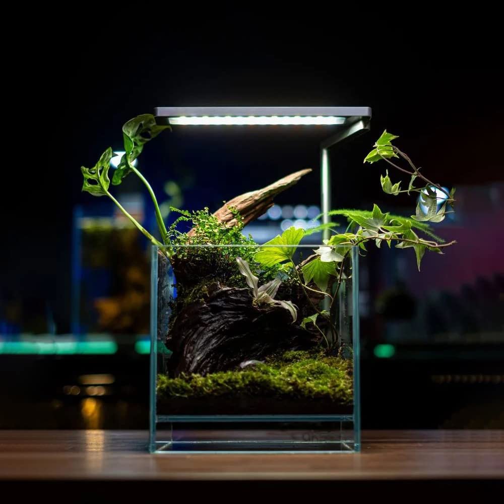 Programmable LED Aquarium Light 20W with Timer - Sunrise Sunset Full Spectrum for Freshwater Fish, Shrimp, Planted & Nano Tanks | Perfect for Aquascaping & Home Decoration