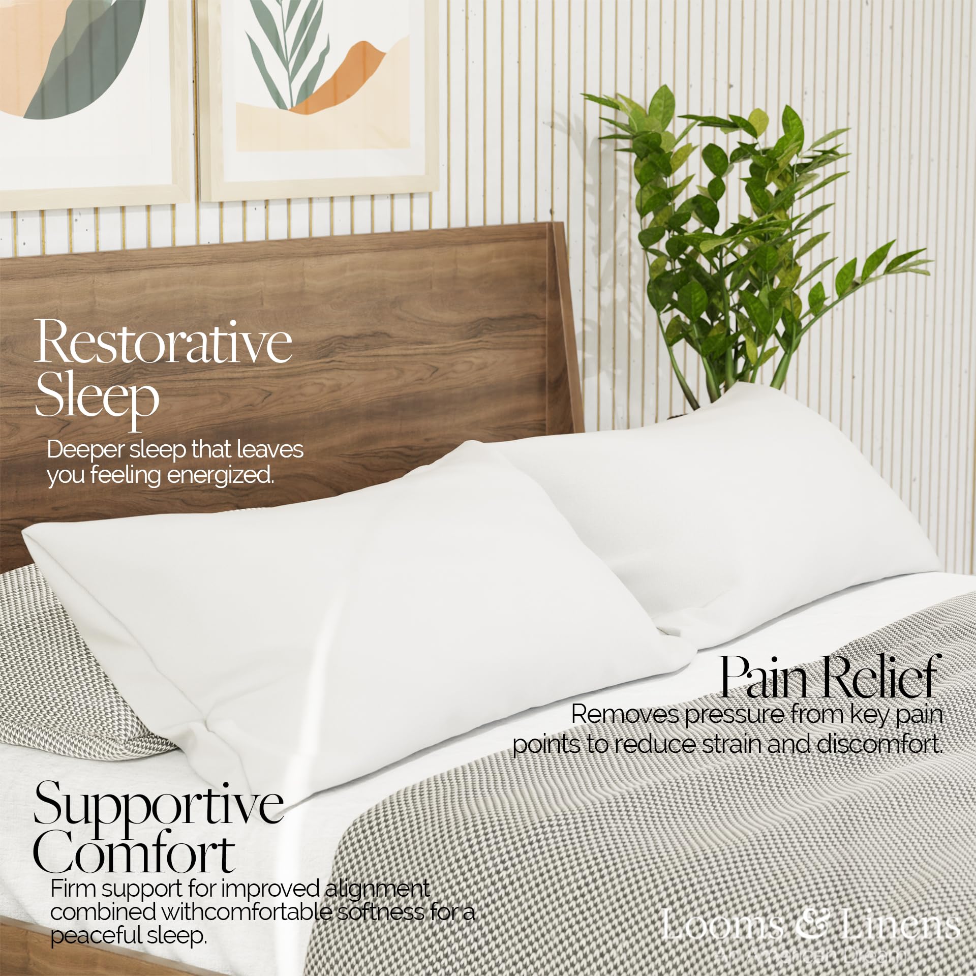 Premium Queen Size Pillow Set of 2 - 20x30 Hypoallergenic Pillow Inserts | Made in USA | Soft Sleeping Pillows with Breathable Cotton Cover by Looms & Linens | Perfect for Bedroom, Guest Room, Sofa & Daybed Decor