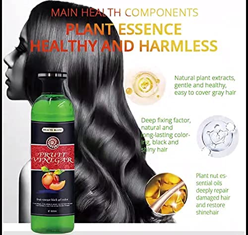 BEAUTE BLANC Fruit Vinegar Hair Color - Natural Black Hair Dye with Hair Care Benefits (500ml x 2 Pack) | Gentle Coloring for Gray Coverage & Daily Hair Maintenance