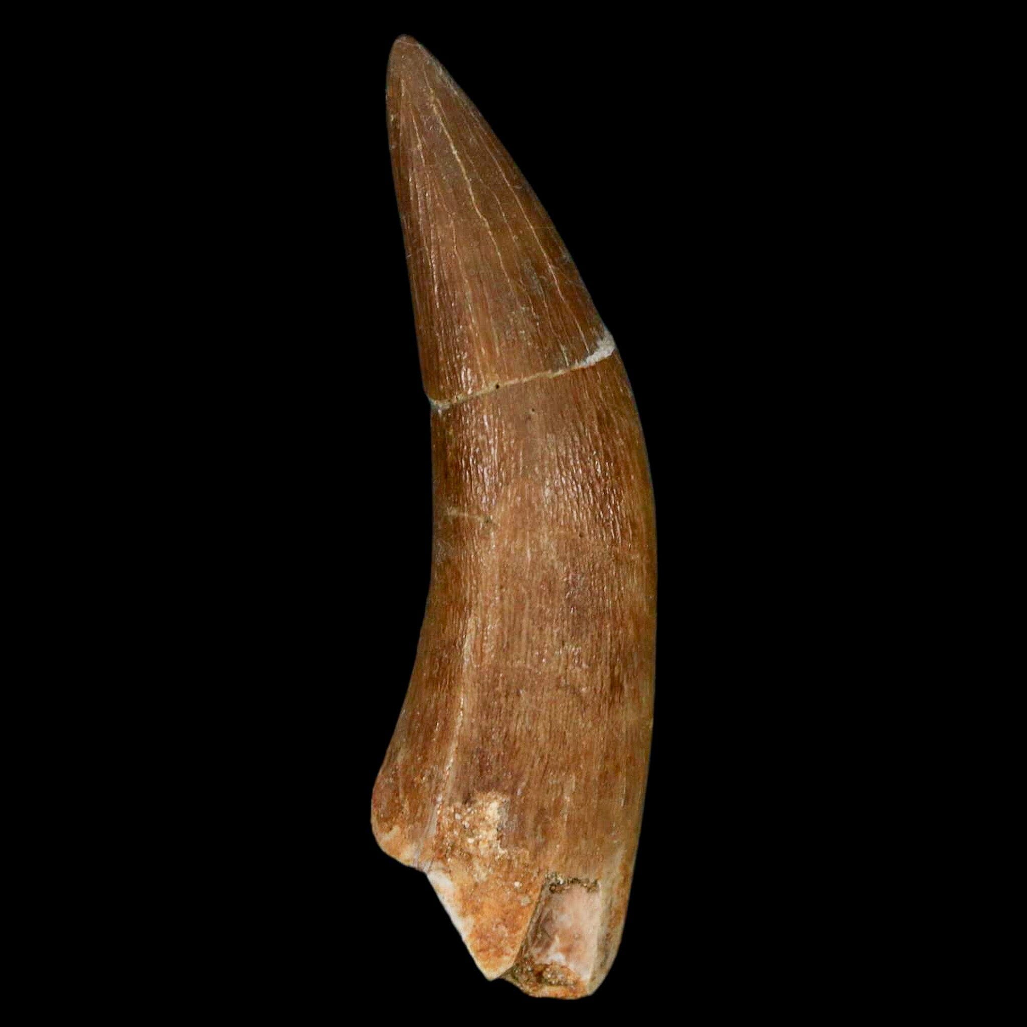 XL 2.3