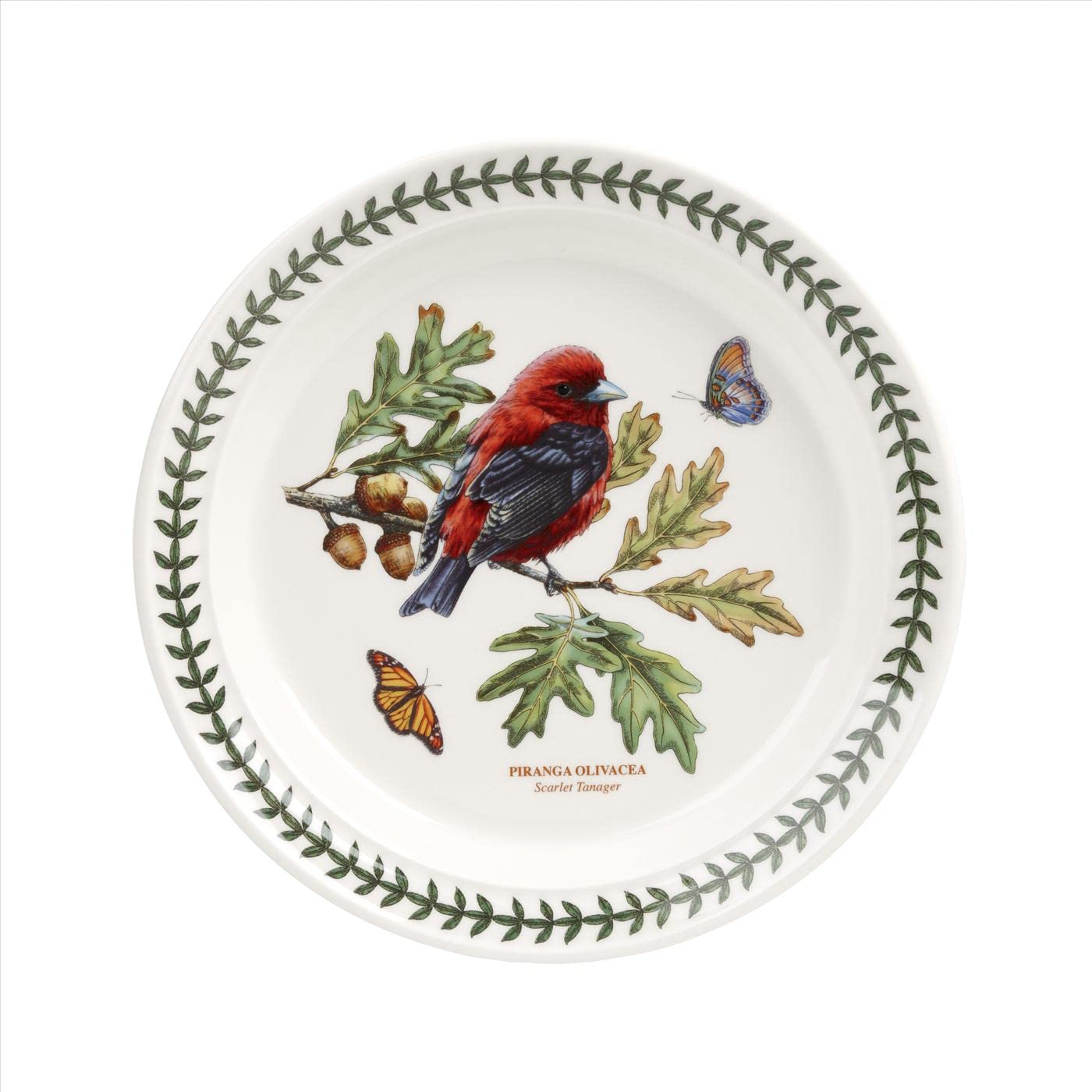 Portmeirion Botanic Garden Birds Collection Salad Plates Set of 6 - 8.5 Inch Earthenware Plates with Beautiful Bird Designs | Dishwasher & Microwave Safe | Made in England | Perfect for Dinner Parties, Garden Tea Time & Home Decor