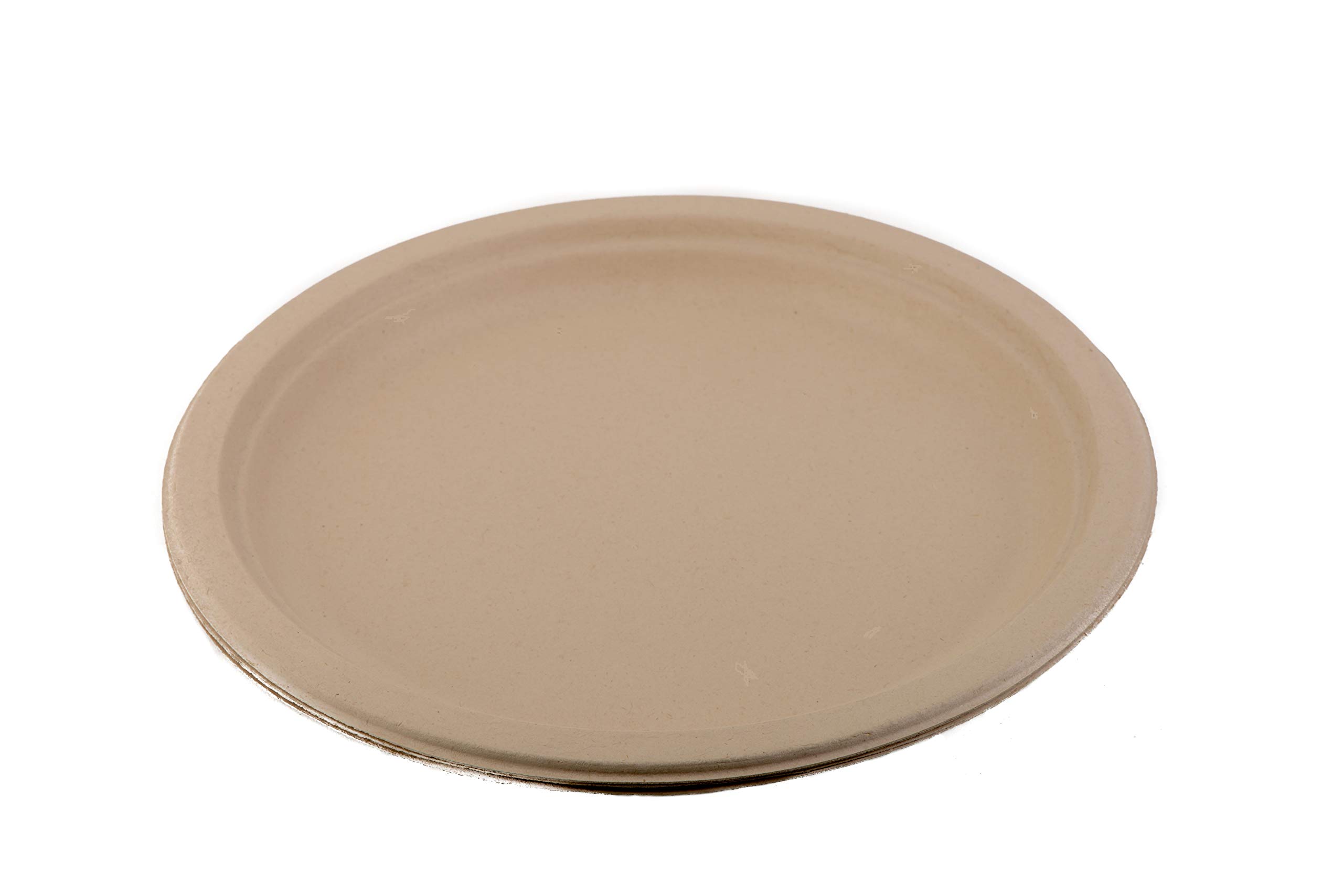 EcoQuality 100% Compostable 10 Inch Disposable Plates [150 Count] - Natural Sugarcane Bagasse Biodegradable Dinnerware - Microwave Safe & Eco-Friendly Plates for Parties, Picnics, BBQs, Birthdays & Everyday Use