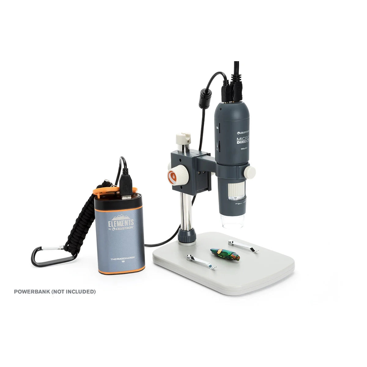 Celestron MicroDirect 1080P HDMI Handheld Digital Microscope with 4.3