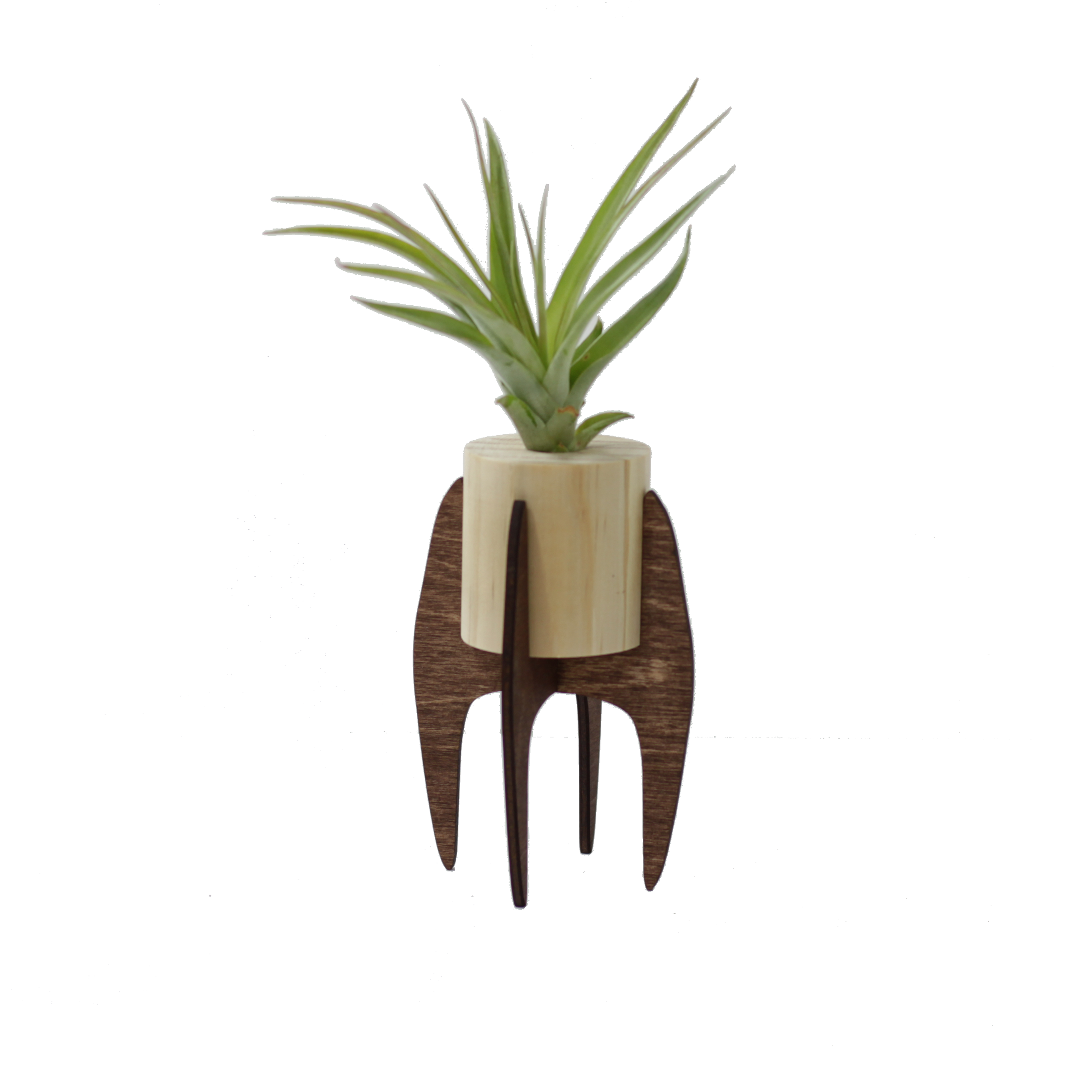Mini Air Plant Stand Holder - Small Hanging Planter for Tillandsia & Succulents - Perfect for Home, Office & Indoor Decor