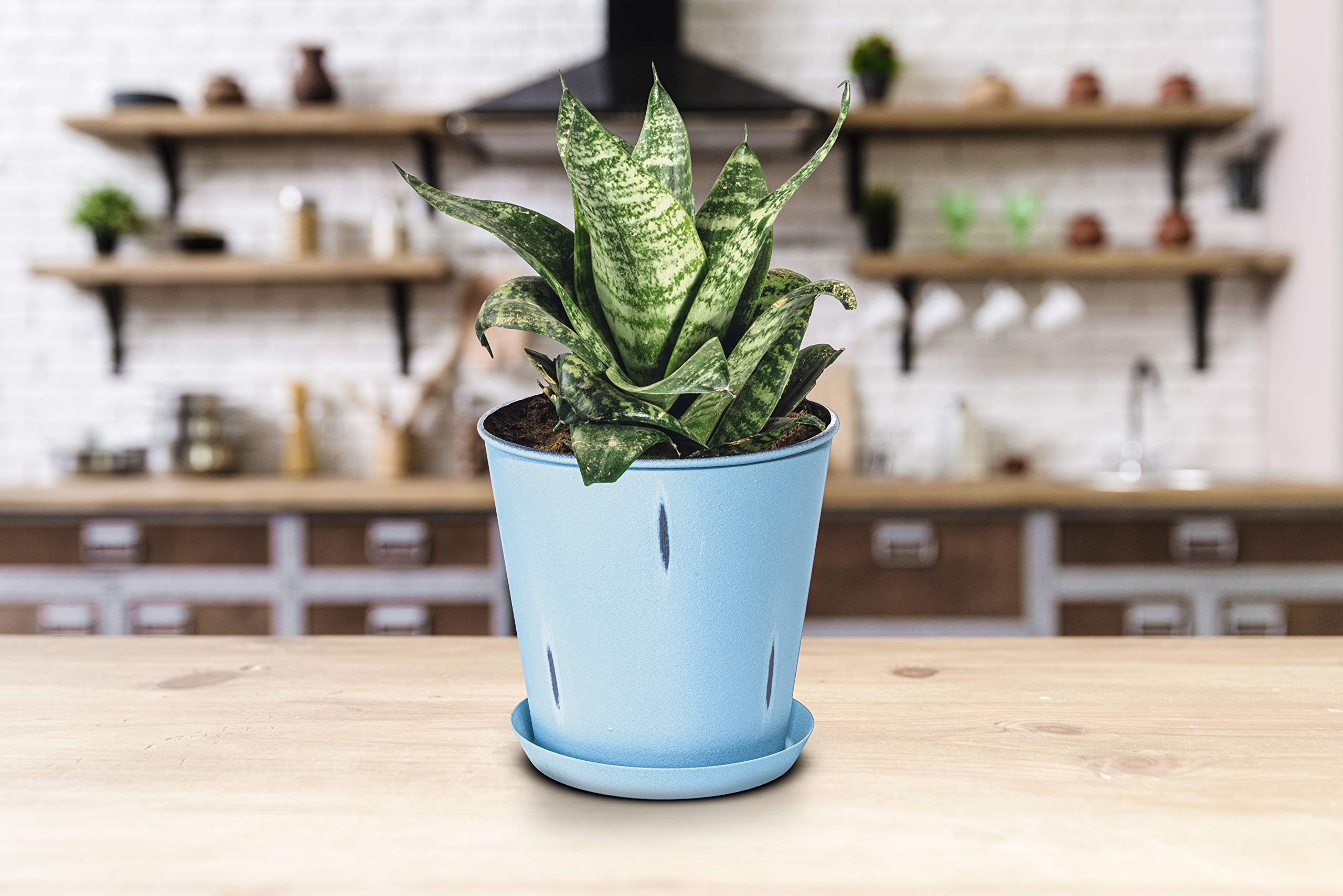 Monarch Abode 20810 Blue Stonewash Indoor Plant Pots (Set of 3) - Succulent & Flower Planters with Drainage Holes - Perfect for Home Decor, Office Desk, and Windowsill Gardens
