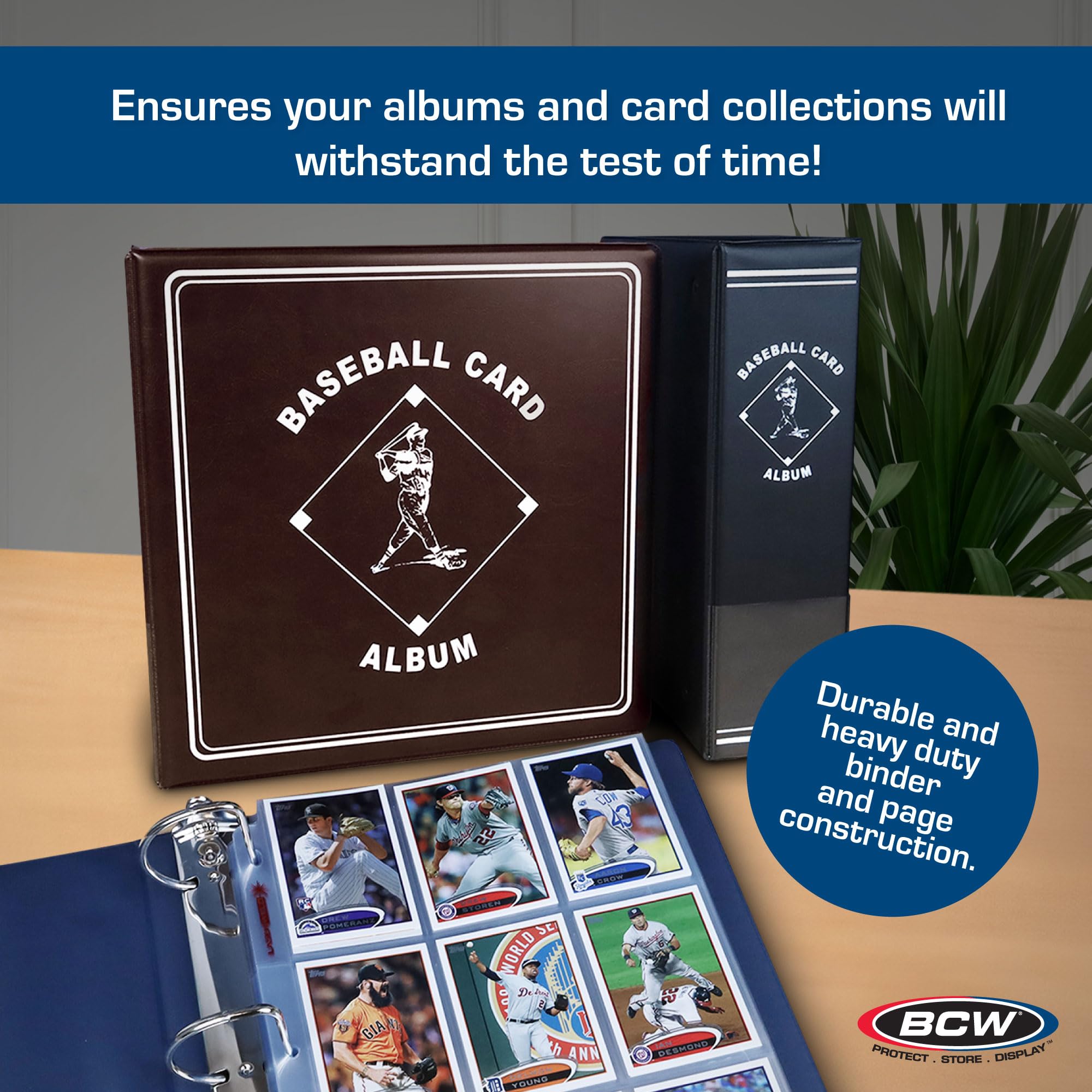 BCW Supplies 3