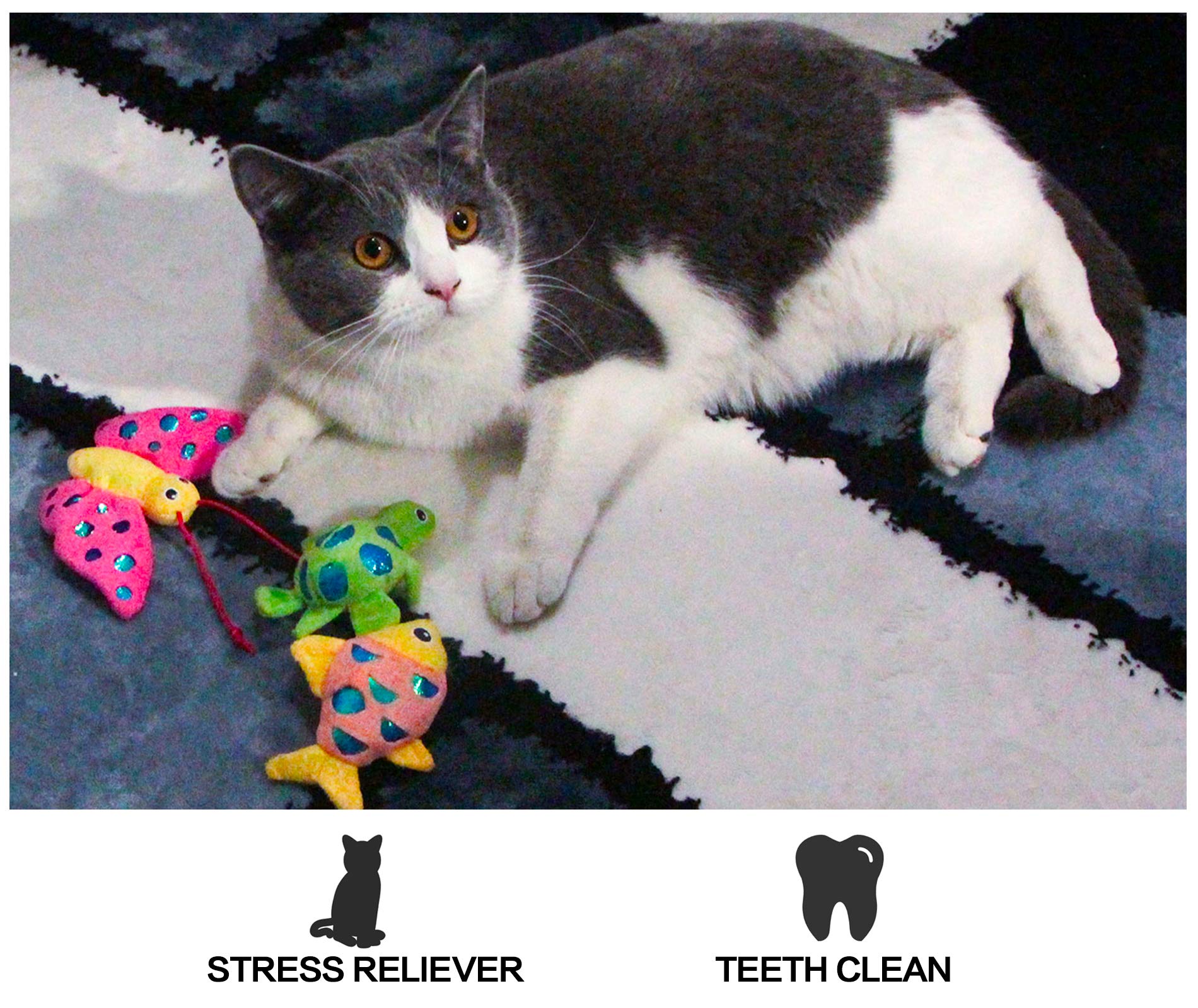 3 Pack Catnip Toys for Indoor Cats - Crinkle Paper, Fish, Turtle & Butterfly Shapes with Catnip - Fun Chew Toys for Playtime & Stress Relief