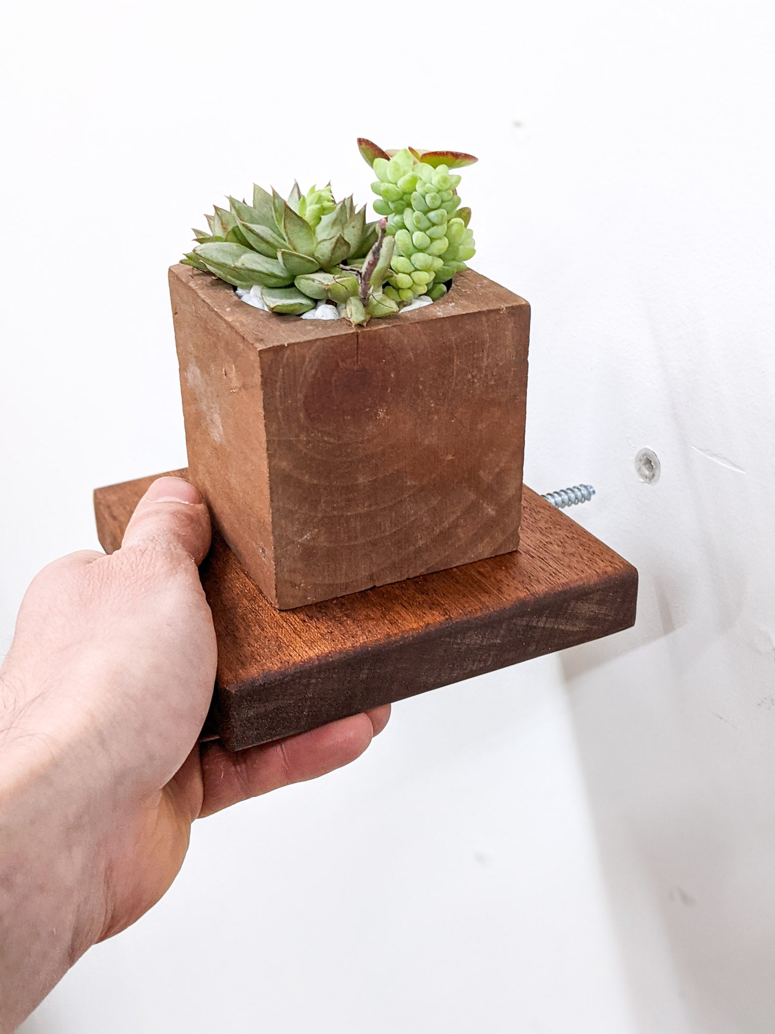 Mahogany Small Square Display Shelf - Elegant Wooden Shelf for Home Decor, Books & Collectibles | Perfect for Living Room, Bedroom & Office Organization