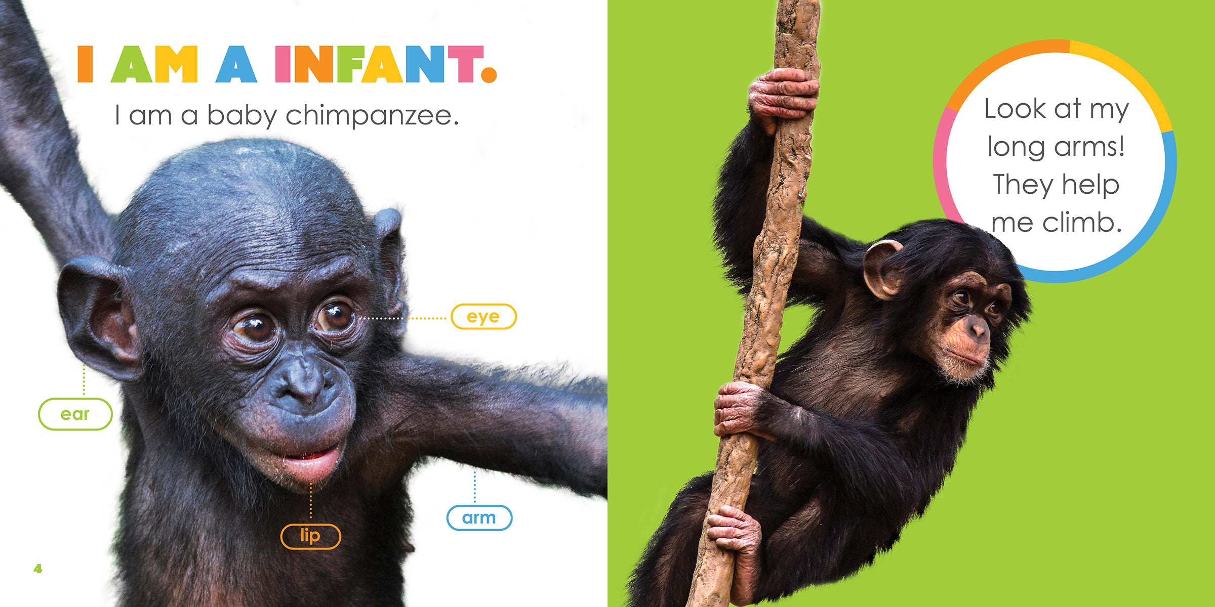Adorable Baby Chimpanzees Plush Toys - Soft & Cuddly Stuffed Animals for Kids | Perfect for Nursery Decor, Birthday Gifts & Animal Lovers