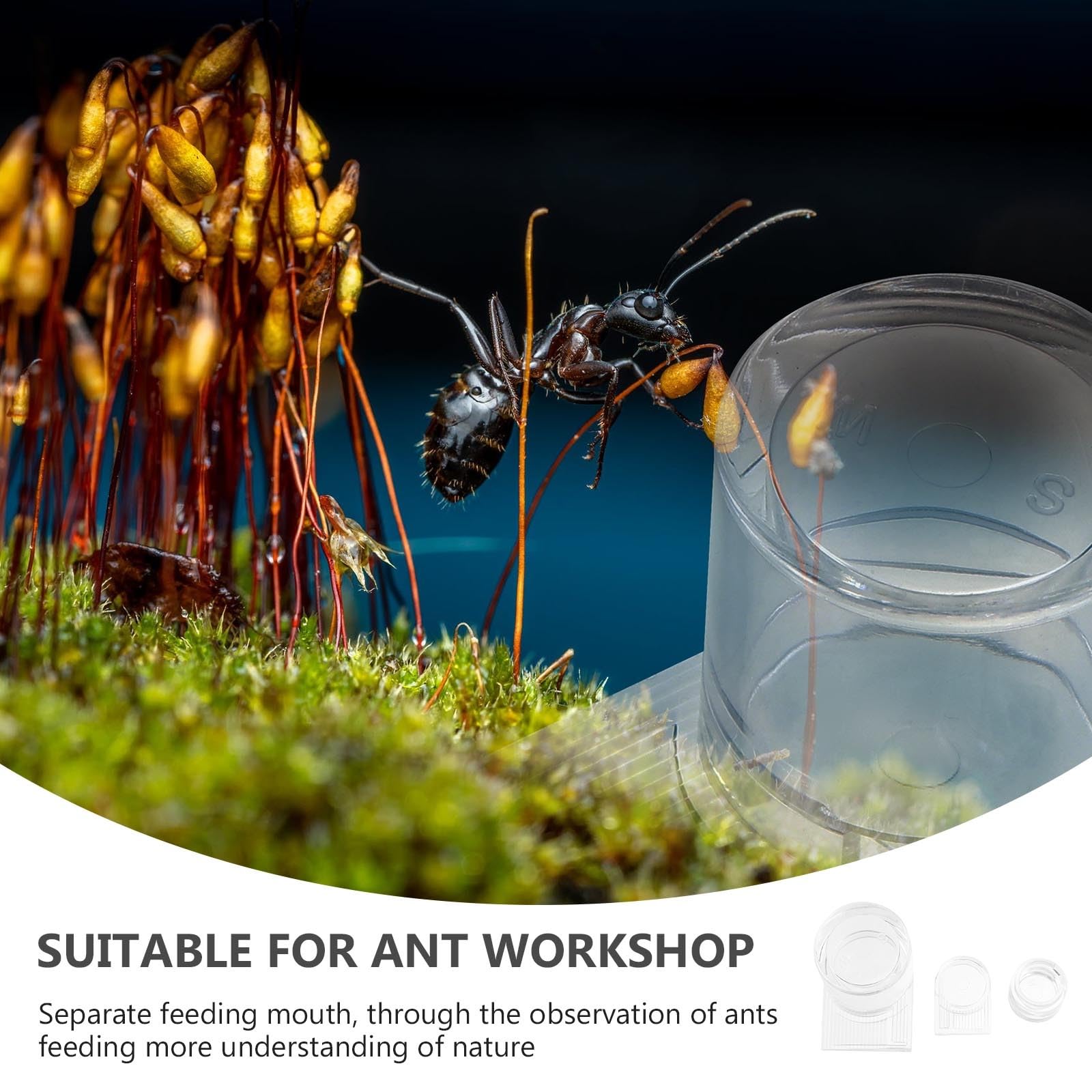 Mipcase Mini Liquid Feeder - Ant Farm Water Dispenser with Small Water Bowls | Pet Water Bottle for Feeding Ants | Perfect for Ant Colonies, Terrariums & Science Projects