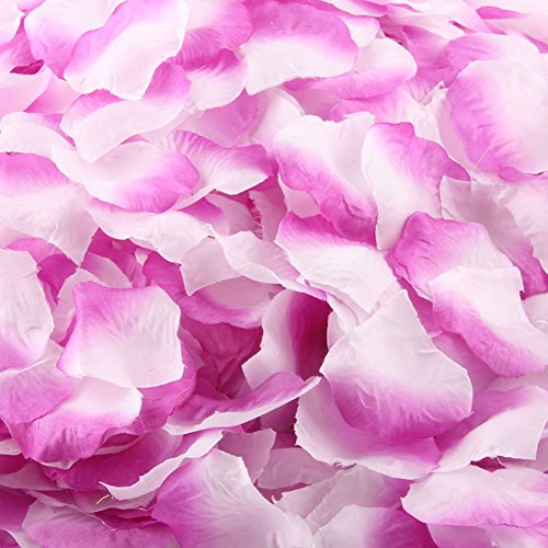 Purple White