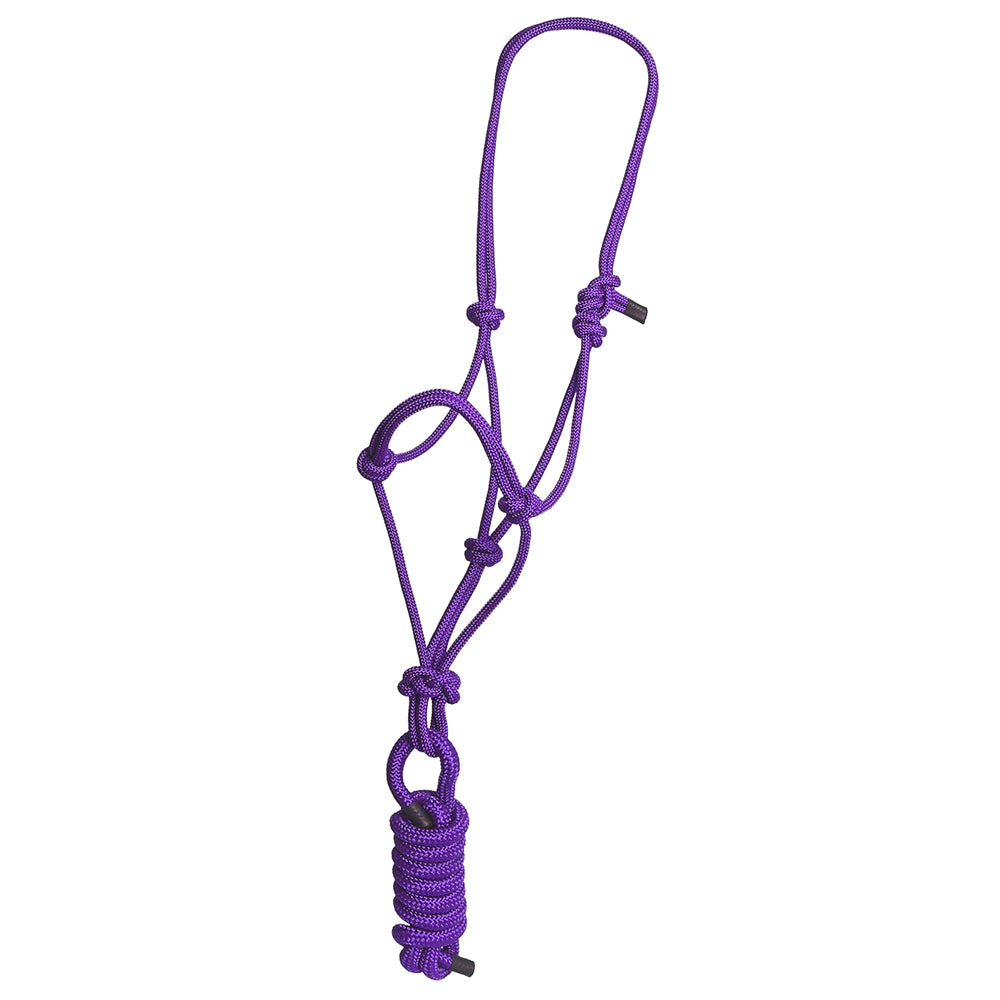 8 Ft Hilason Western Nylon Heavy Duty Horse Lead Rope Halter - Durable Multi-Colored Bridle for Training, Trail Riding & Ranch Work