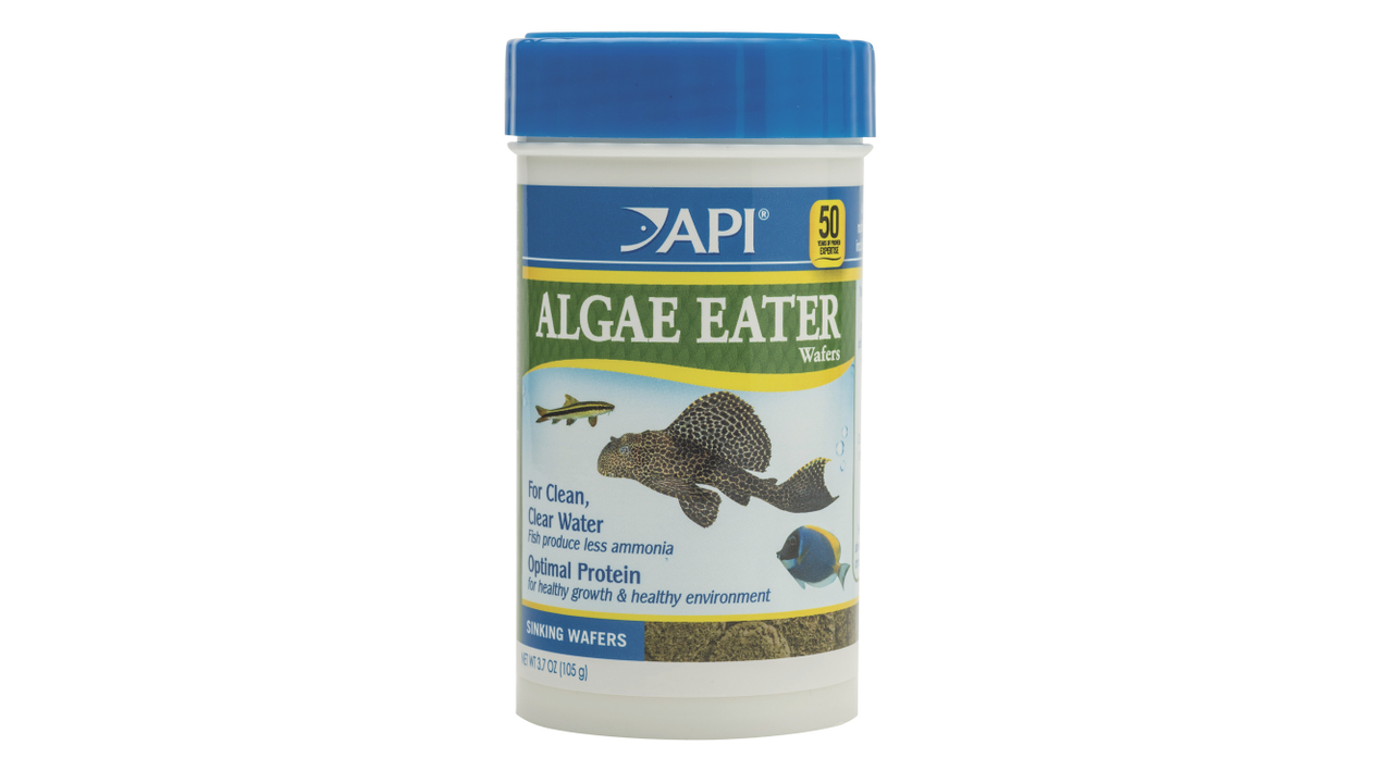 API Algae Eater Wafers 105g - Premium Fish Food for Algae Control in Freshwater Aquariums | Perfect for Plecos, Catfish & Bottom Feeders