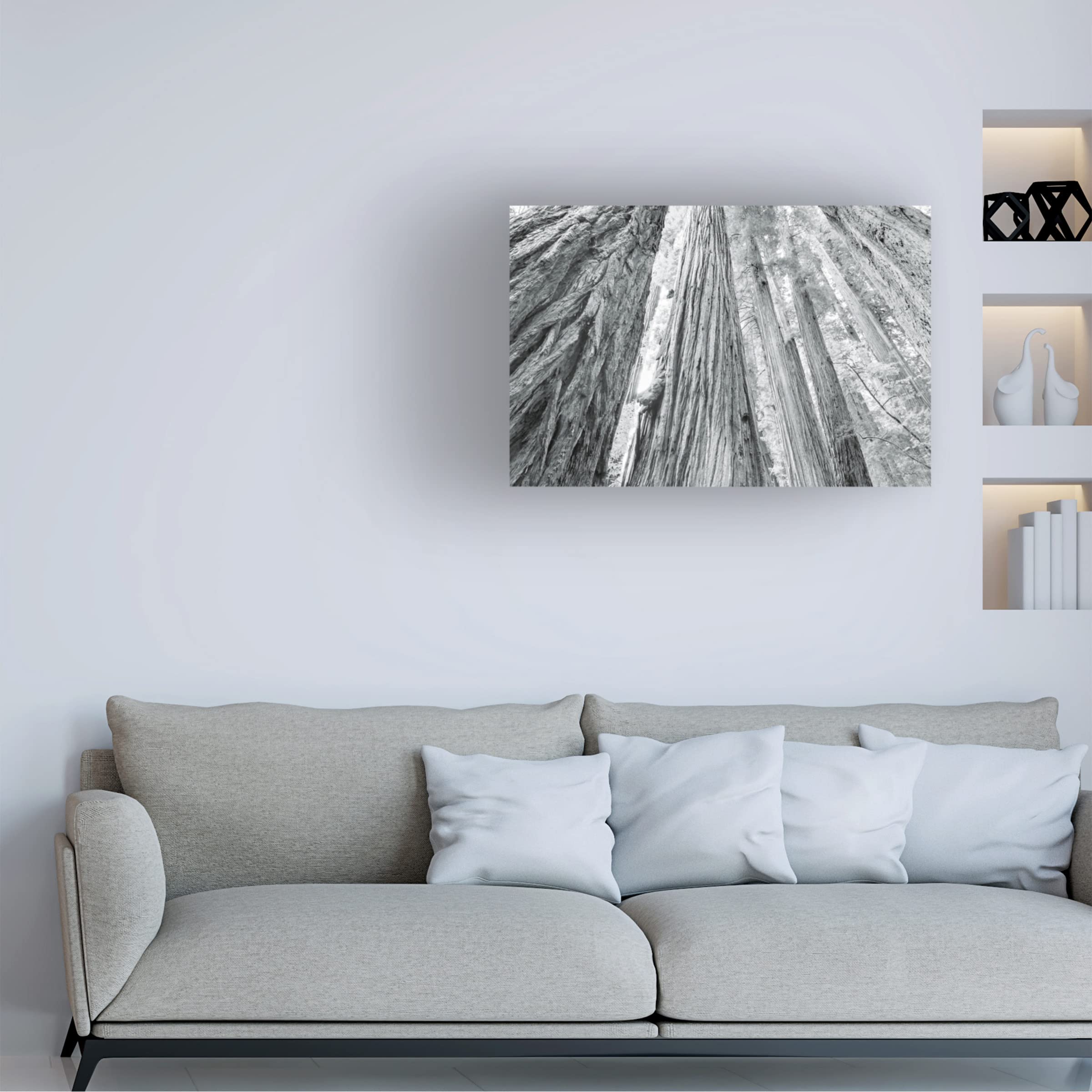 Trademark Fine Art 'Redwoods Forest IV BW' Canvas Wall Art Print by Alan Majchrowicz - Nature Landscape Photography for Living Room, Bedroom & Office Decor