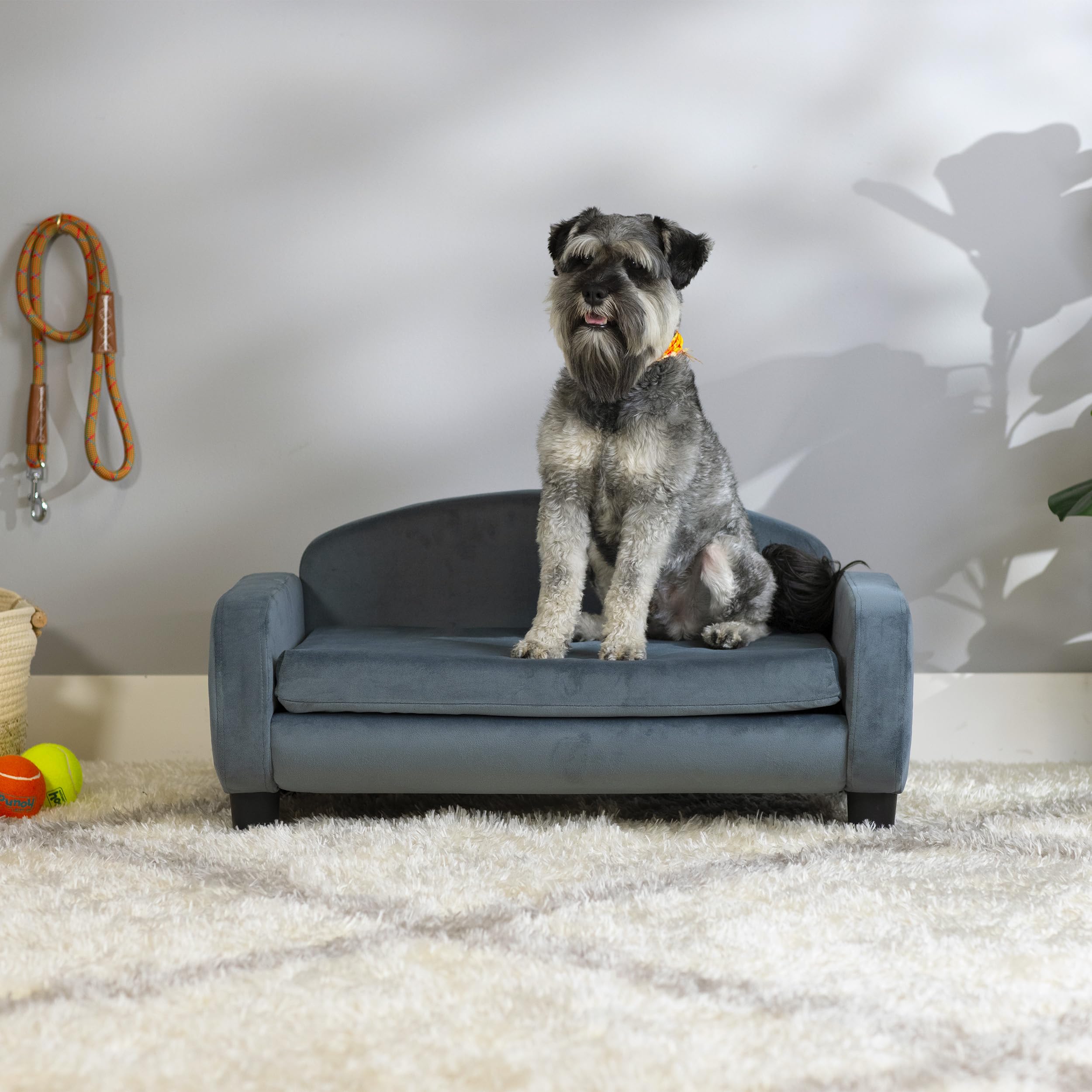 Paws & Purrs Modern Pet Sofa - 31.5 Inch Wide Low Back Dog Cat Bed with Removable Washable Cover (Espresso/Cornflower) - Cozy Lounge for Living Room, Bedroom & Pet Nursery