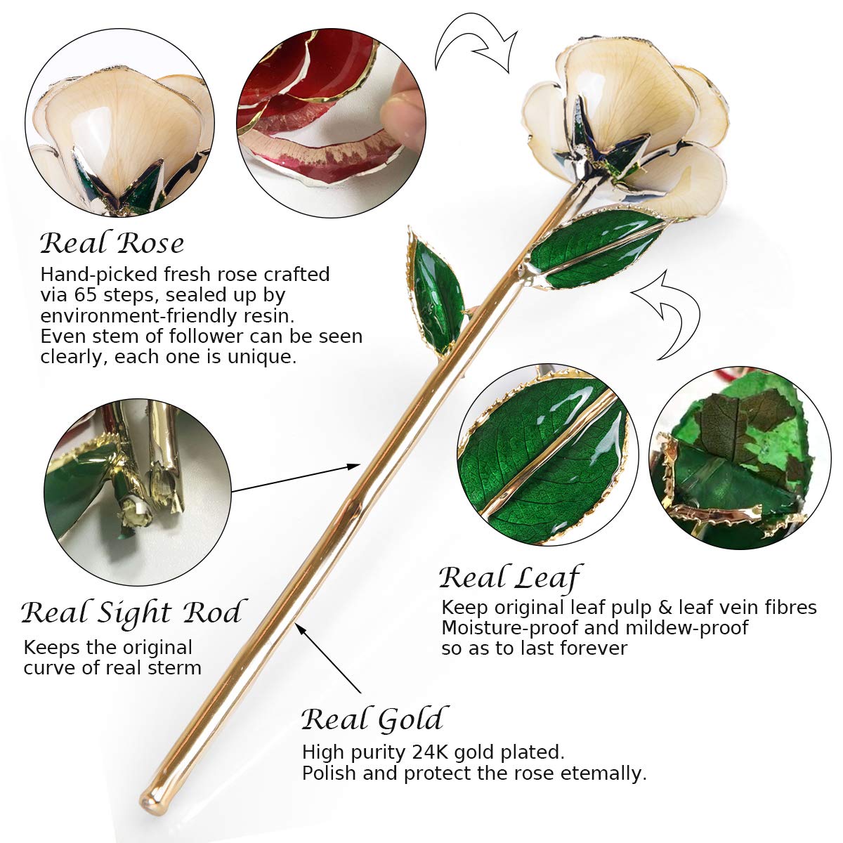 24K Gold Dipped Real Rose with Long Stem & Display Stand - Elegant Birthday, Anniversary, Valentine's Day & Mother's Day Gift for Her (Ivory White) - Perfect for Romantic Surprises, Home Decor & Luxury Gift Giving